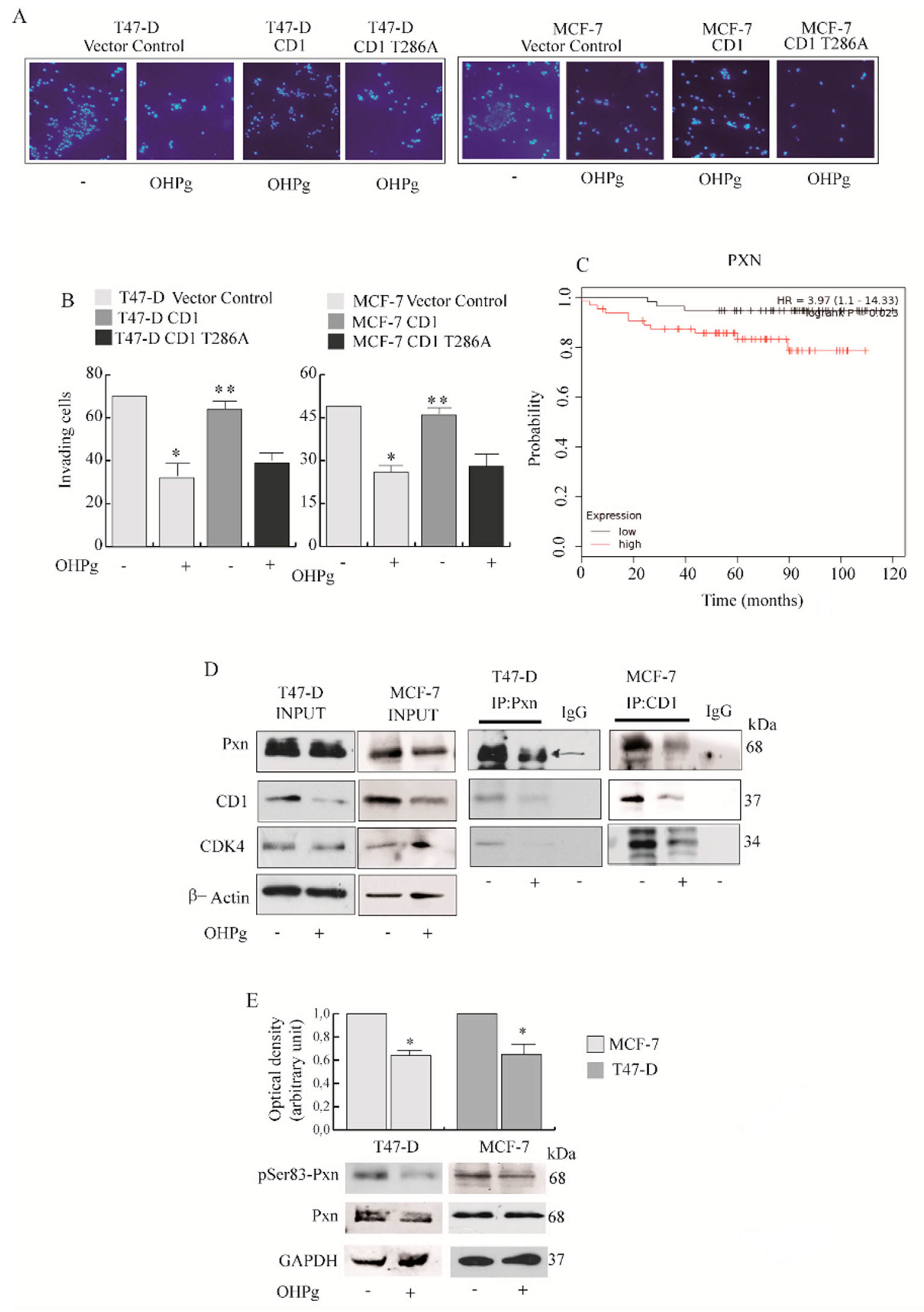 Cancers 11 01201 g005