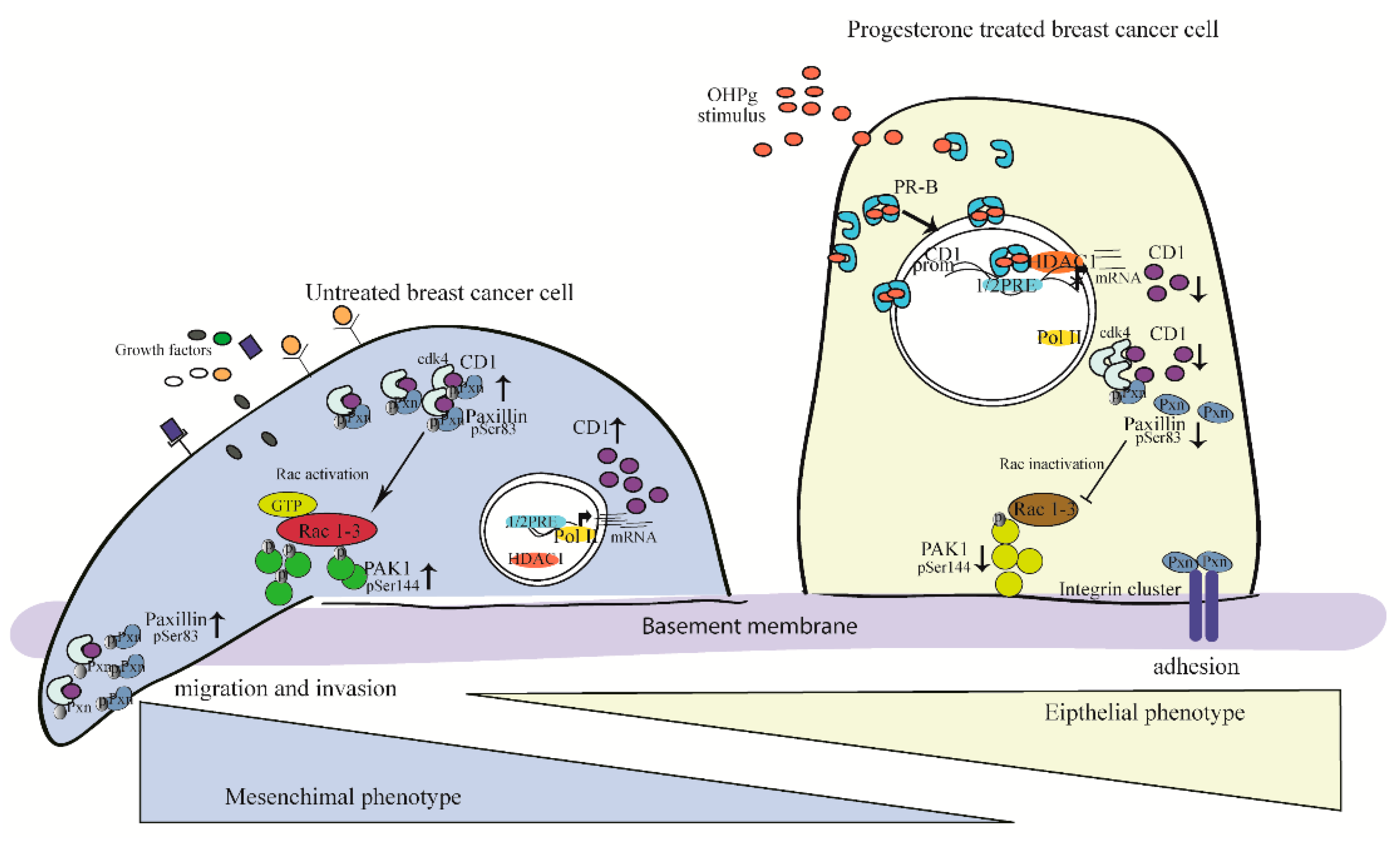 Cancers 11 01201 g007