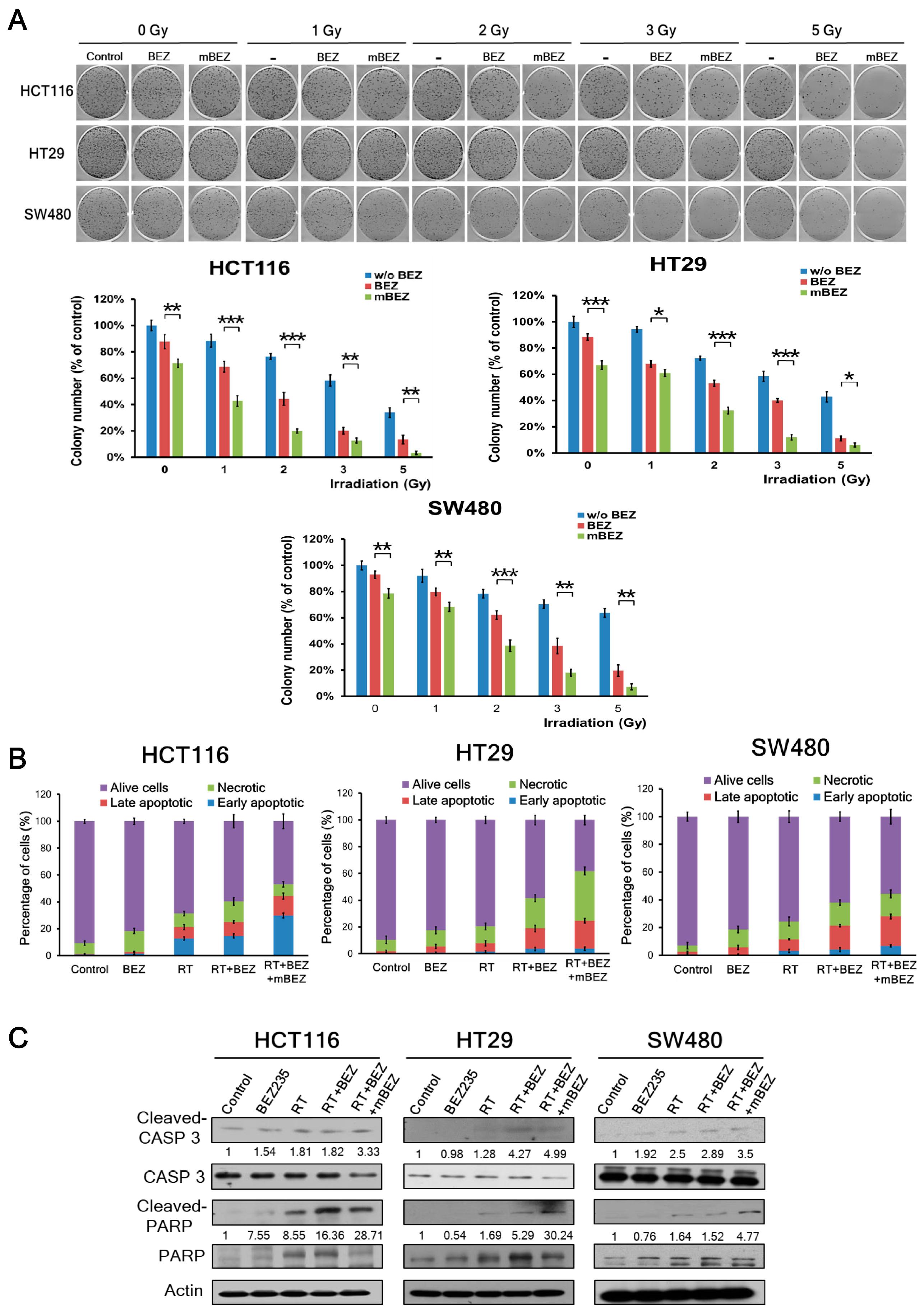 Cancers 11 01204 g002