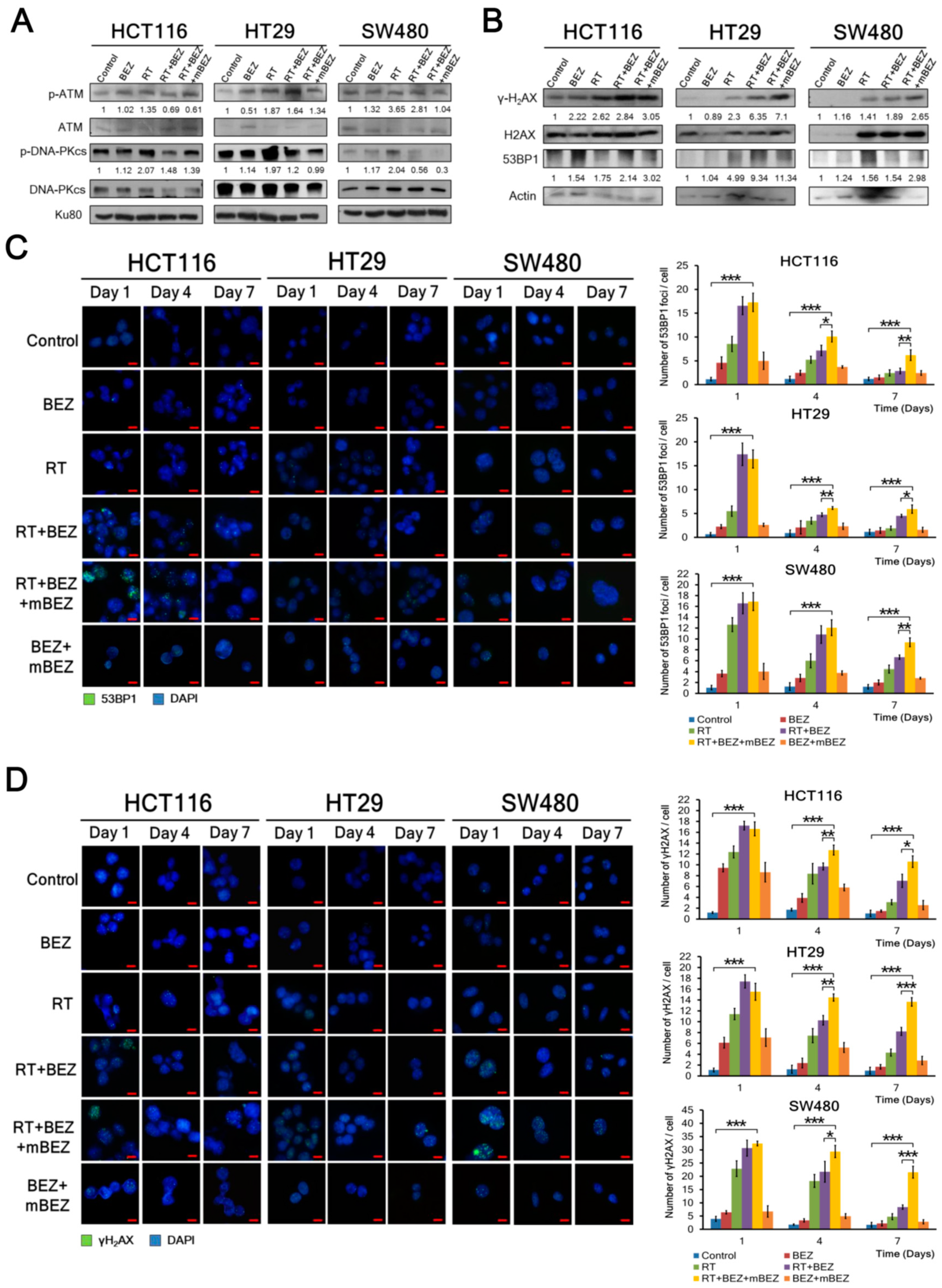 Cancers 11 01204 g004