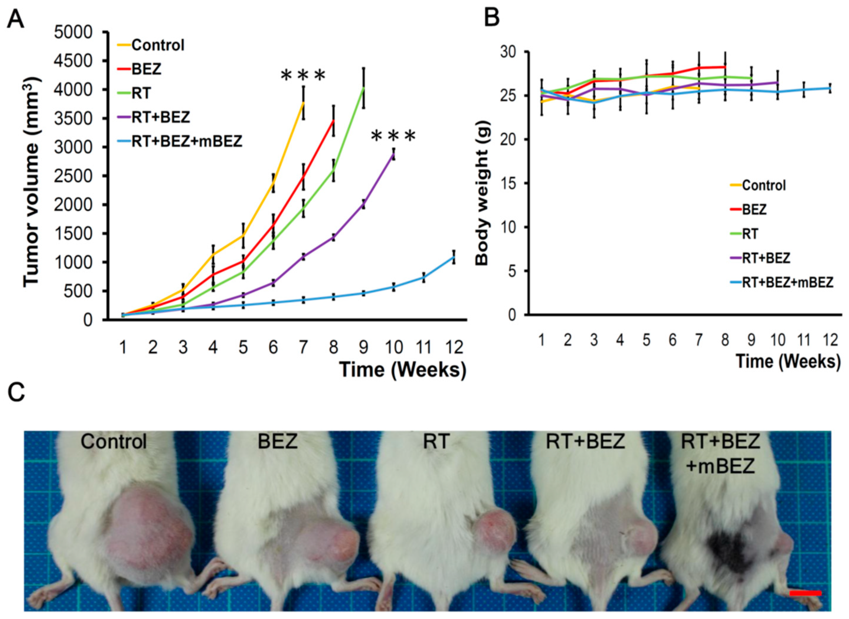 Cancers 11 01204 g005