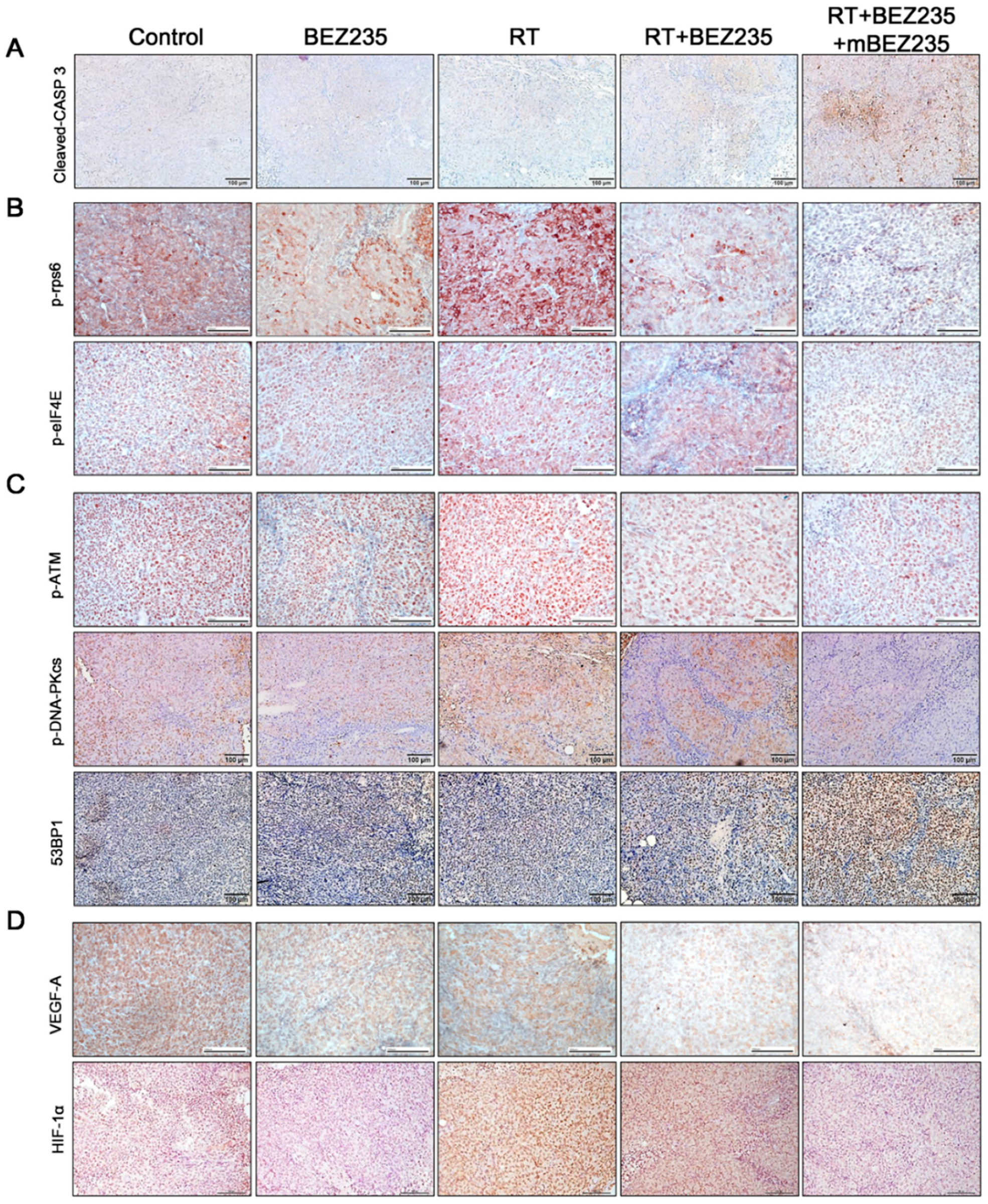 Cancers 11 01204 g006