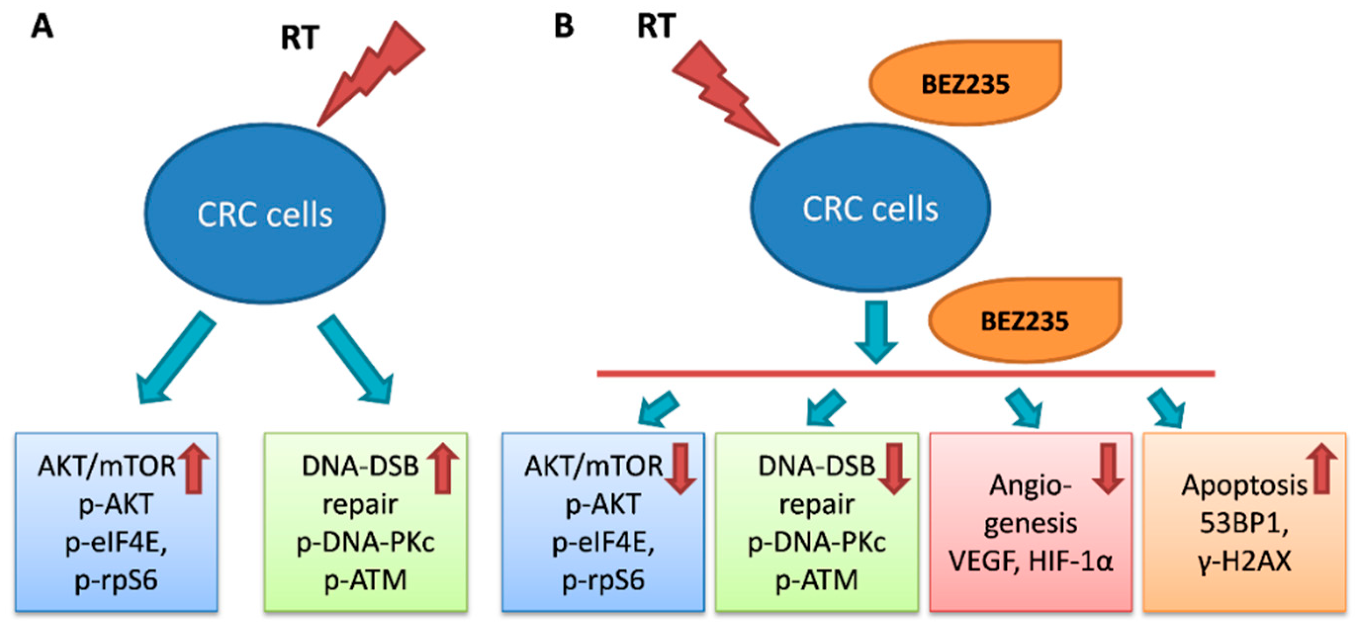 Cancers 11 01204 g007