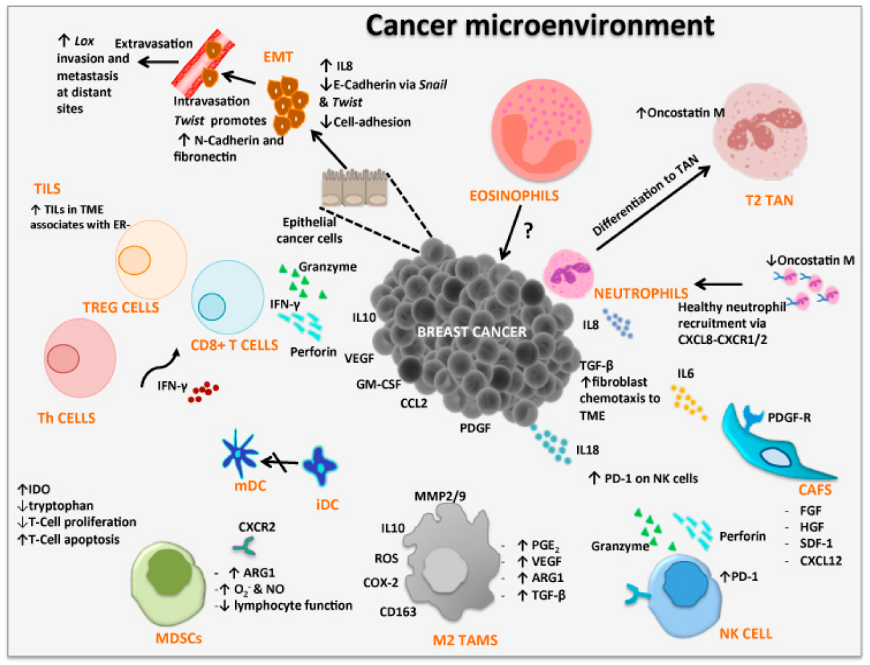 Jamie Germano on X: Participating in Breast Cancer Awareness