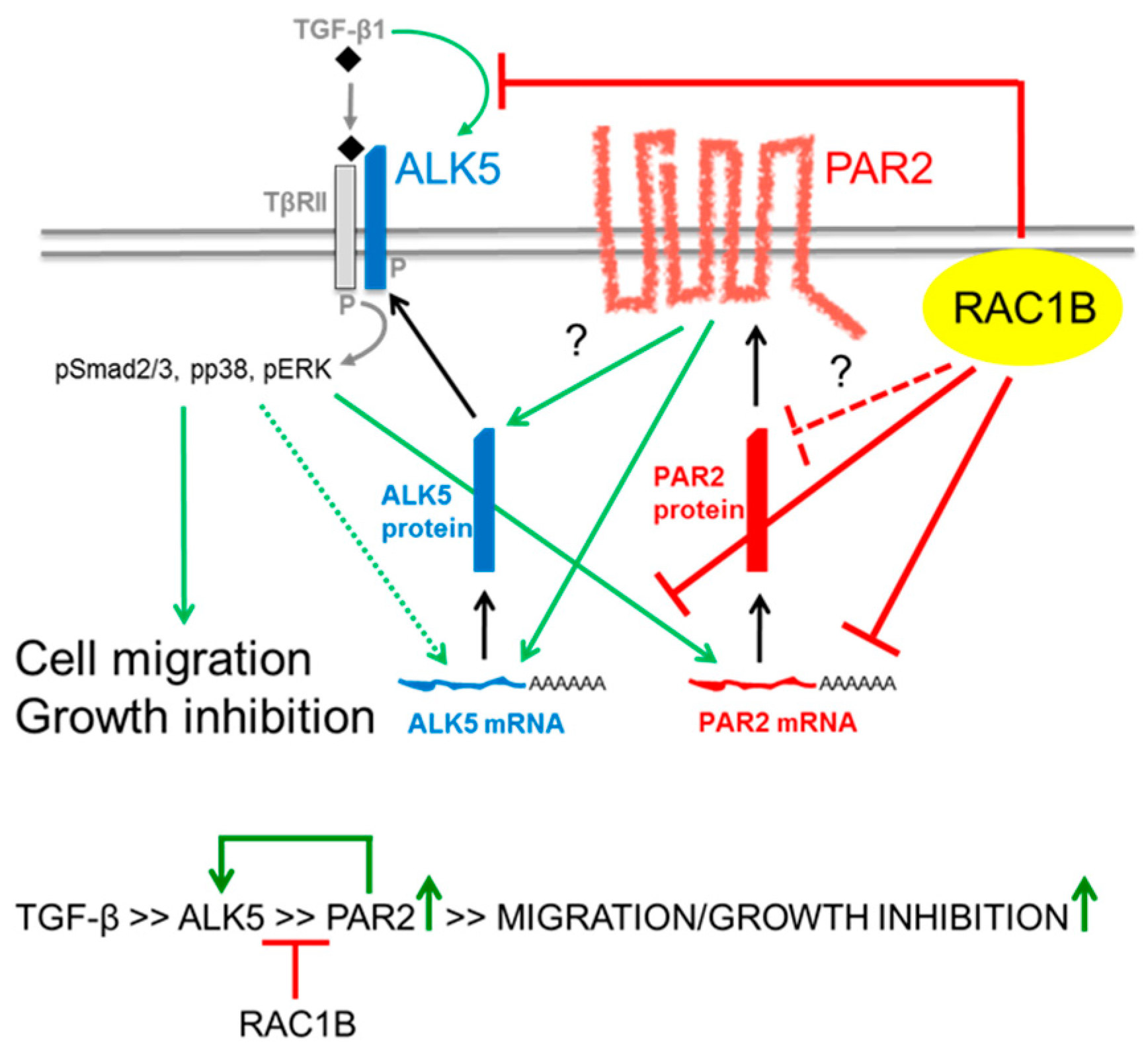 Cancers 11 01211 g006