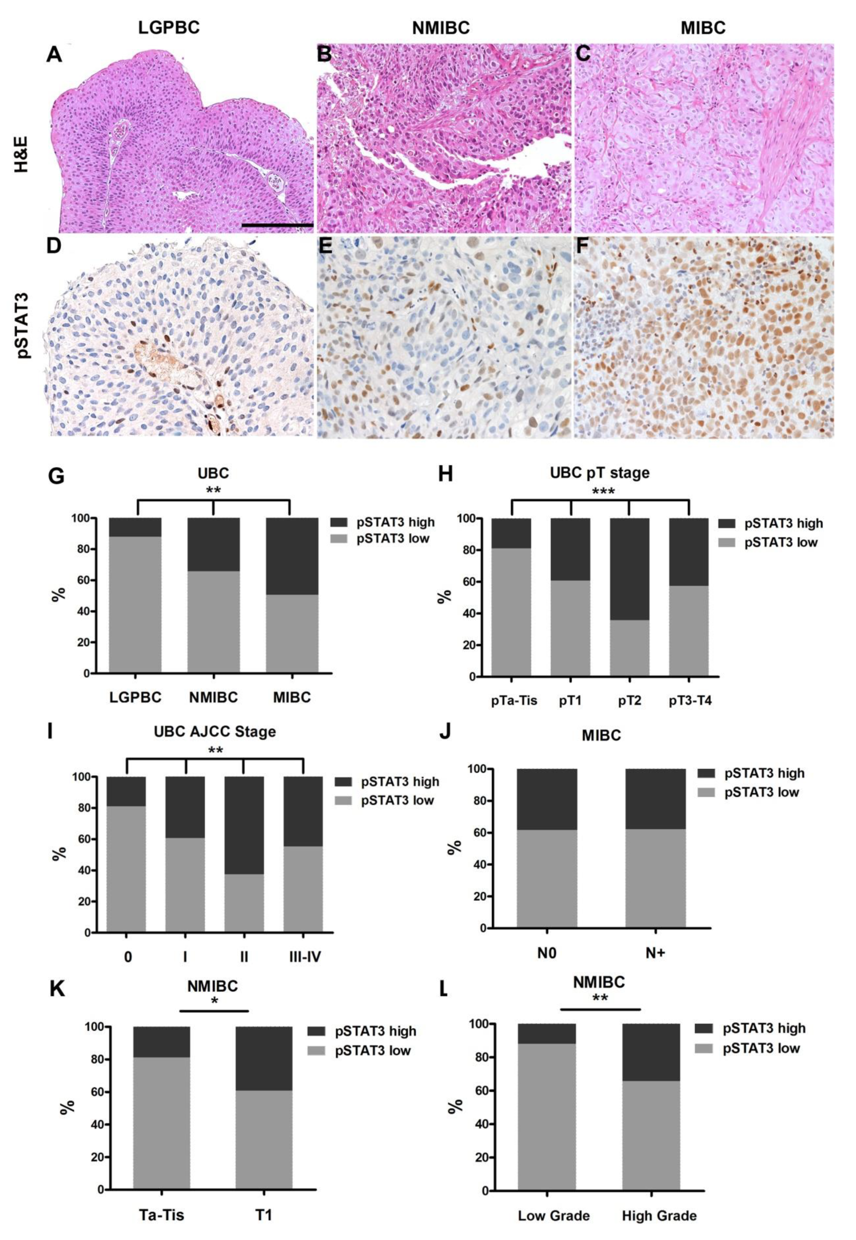 Cancers 11 01219 g001