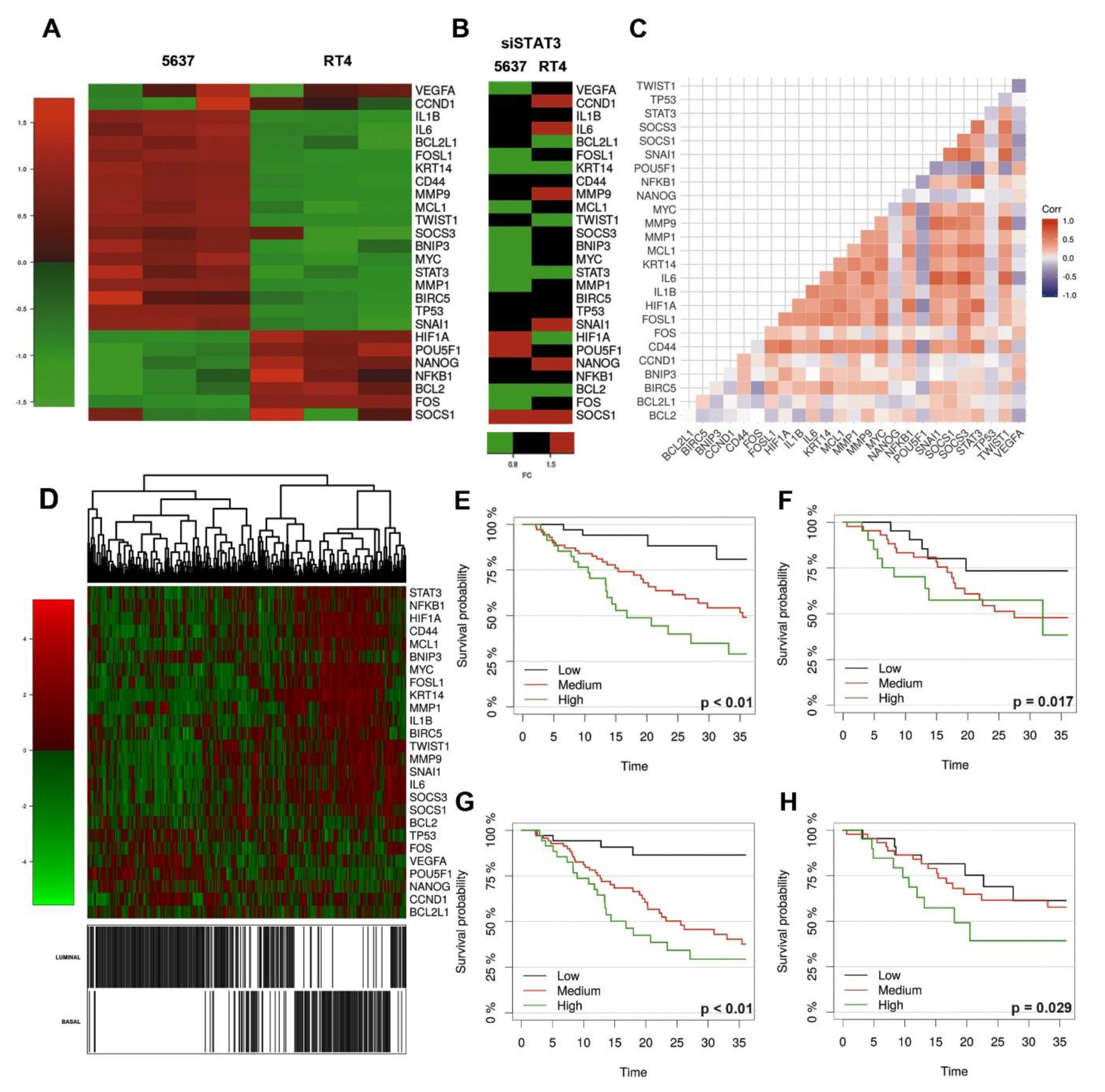 Cancers 11 01219 g005