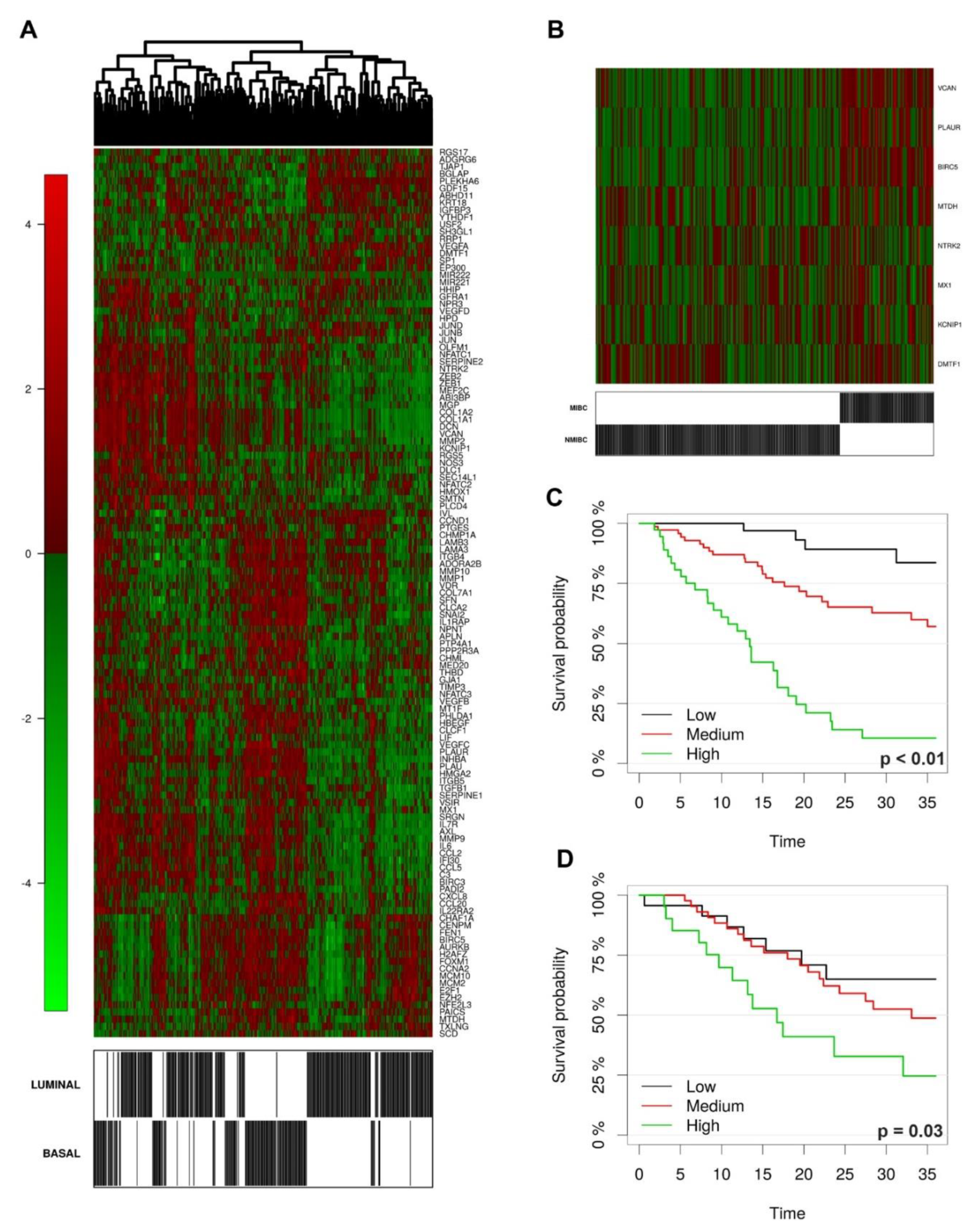 Cancers 11 01219 g007