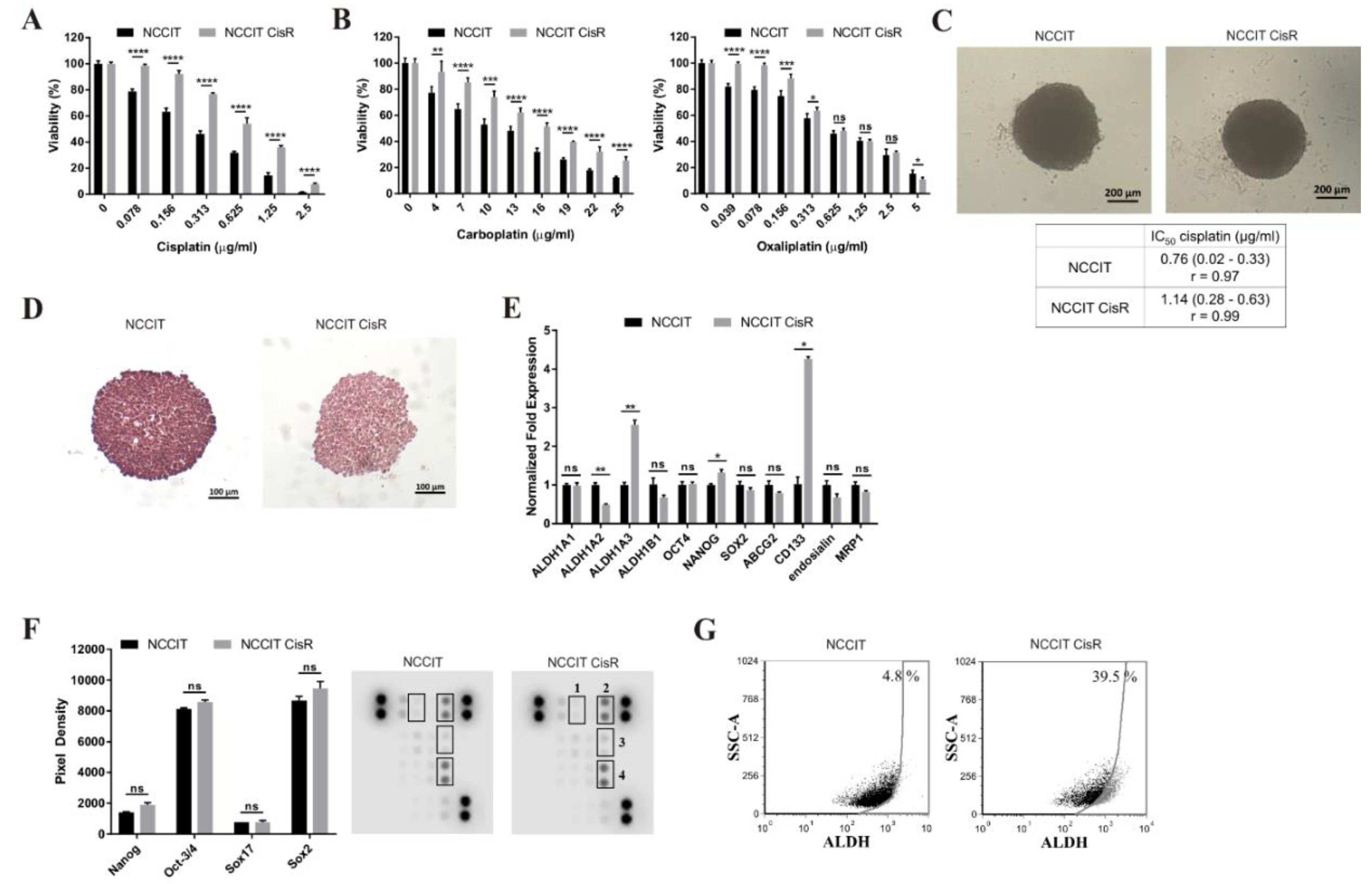 Cancers 11 01224 g004