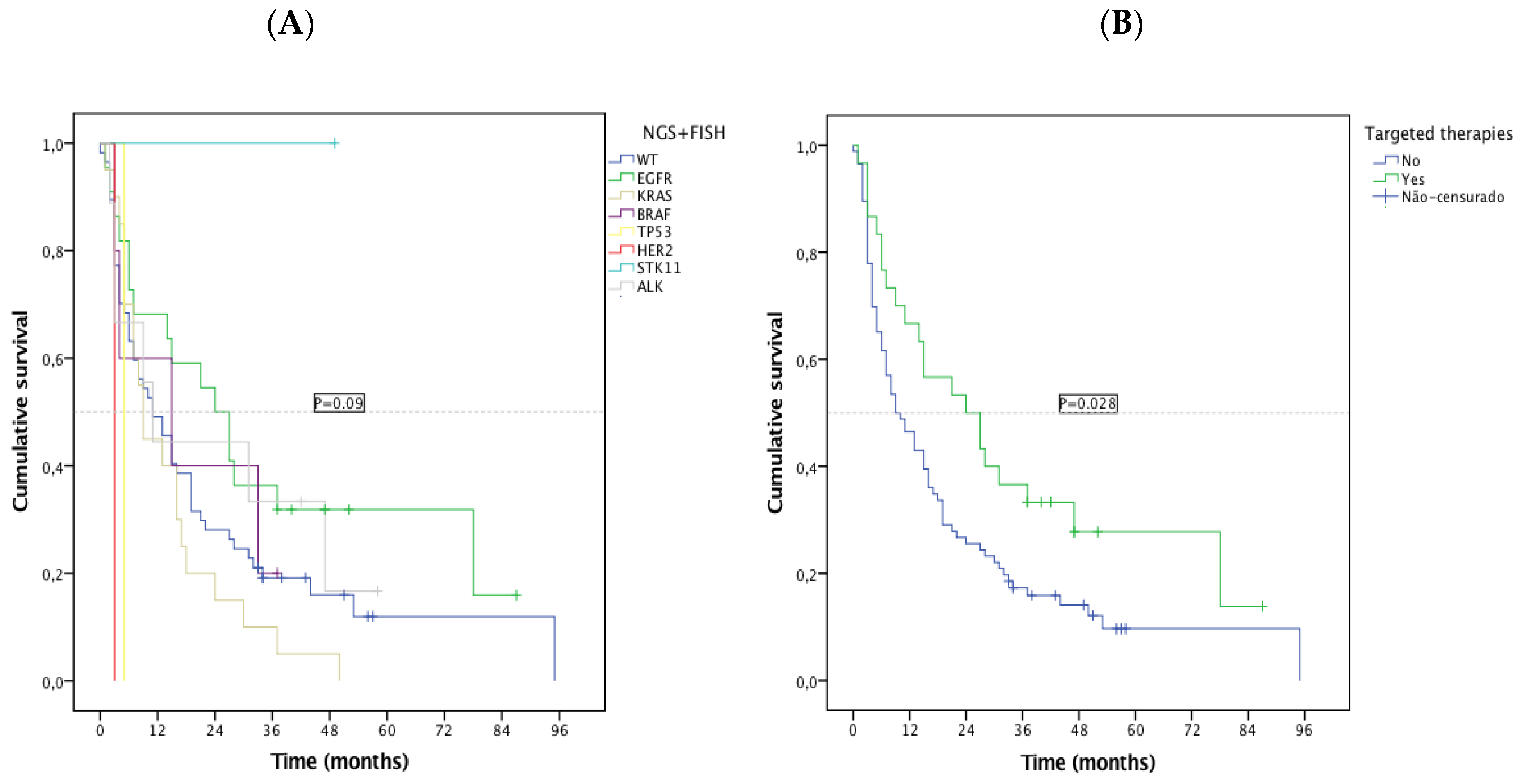 Cancers 11 01229 g004 Cancers 11 01229 g004