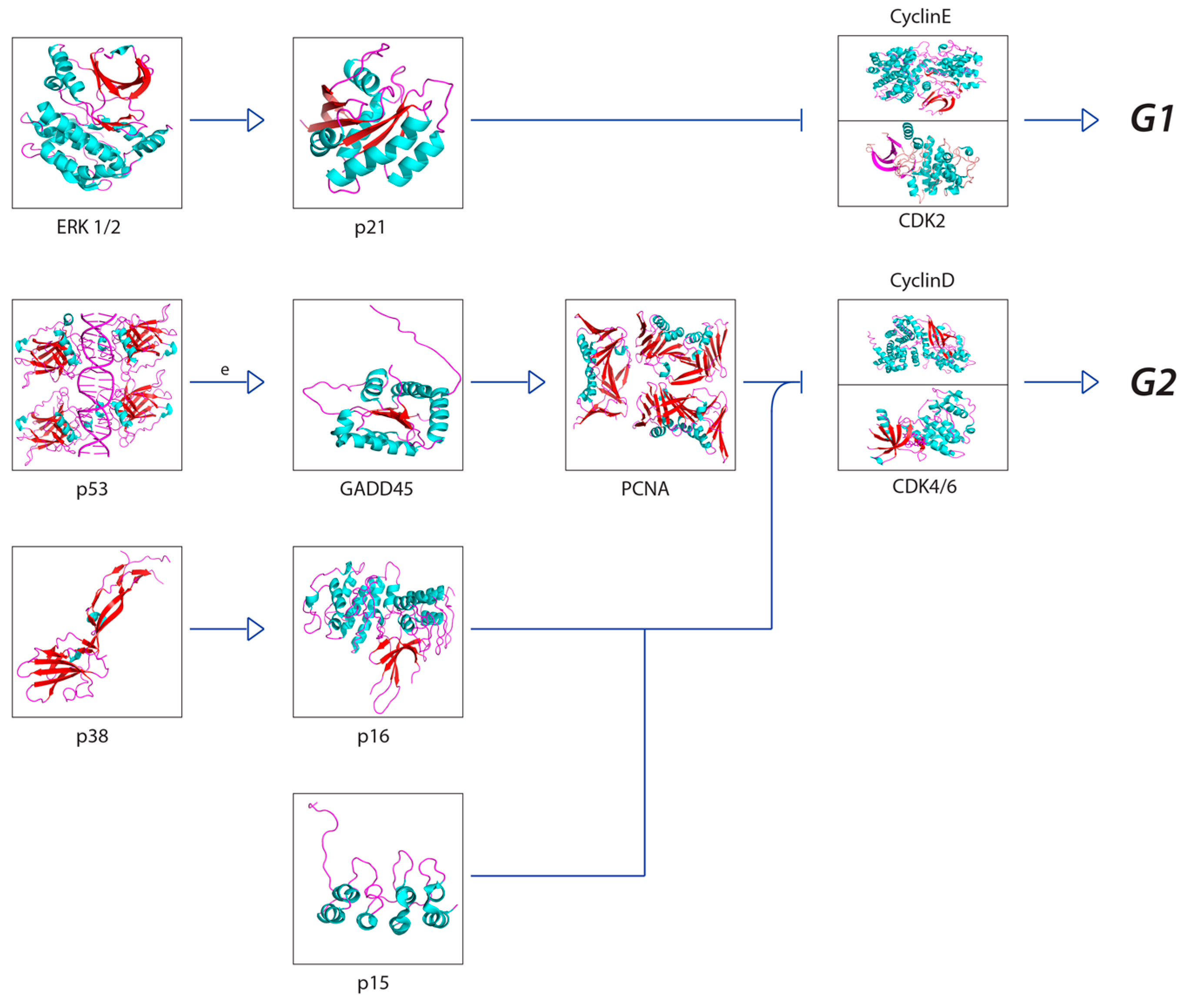 Cancers 11 01236 g004