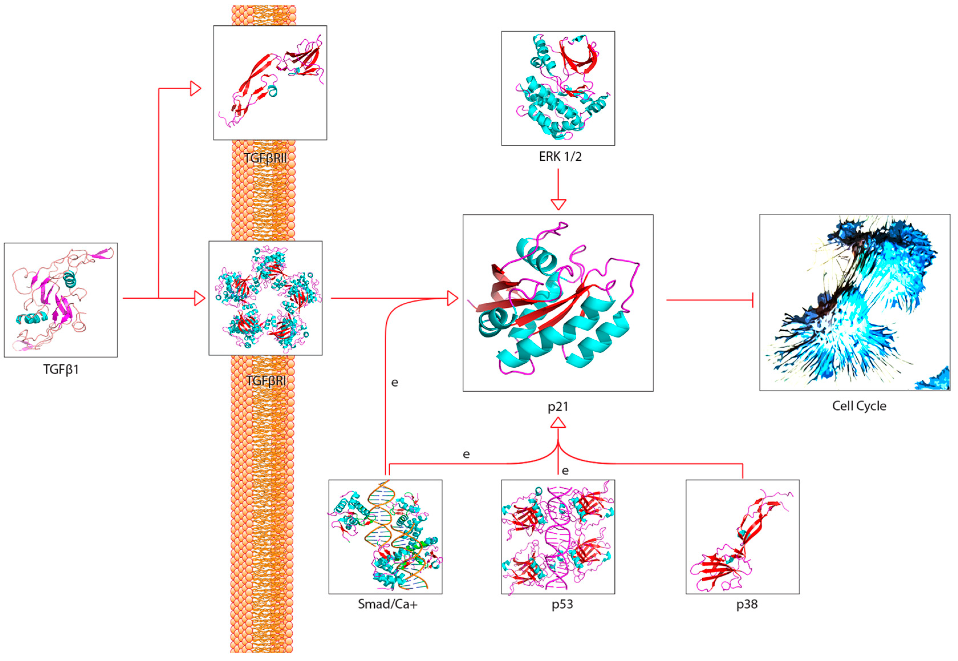 Cancers 11 01236 g005