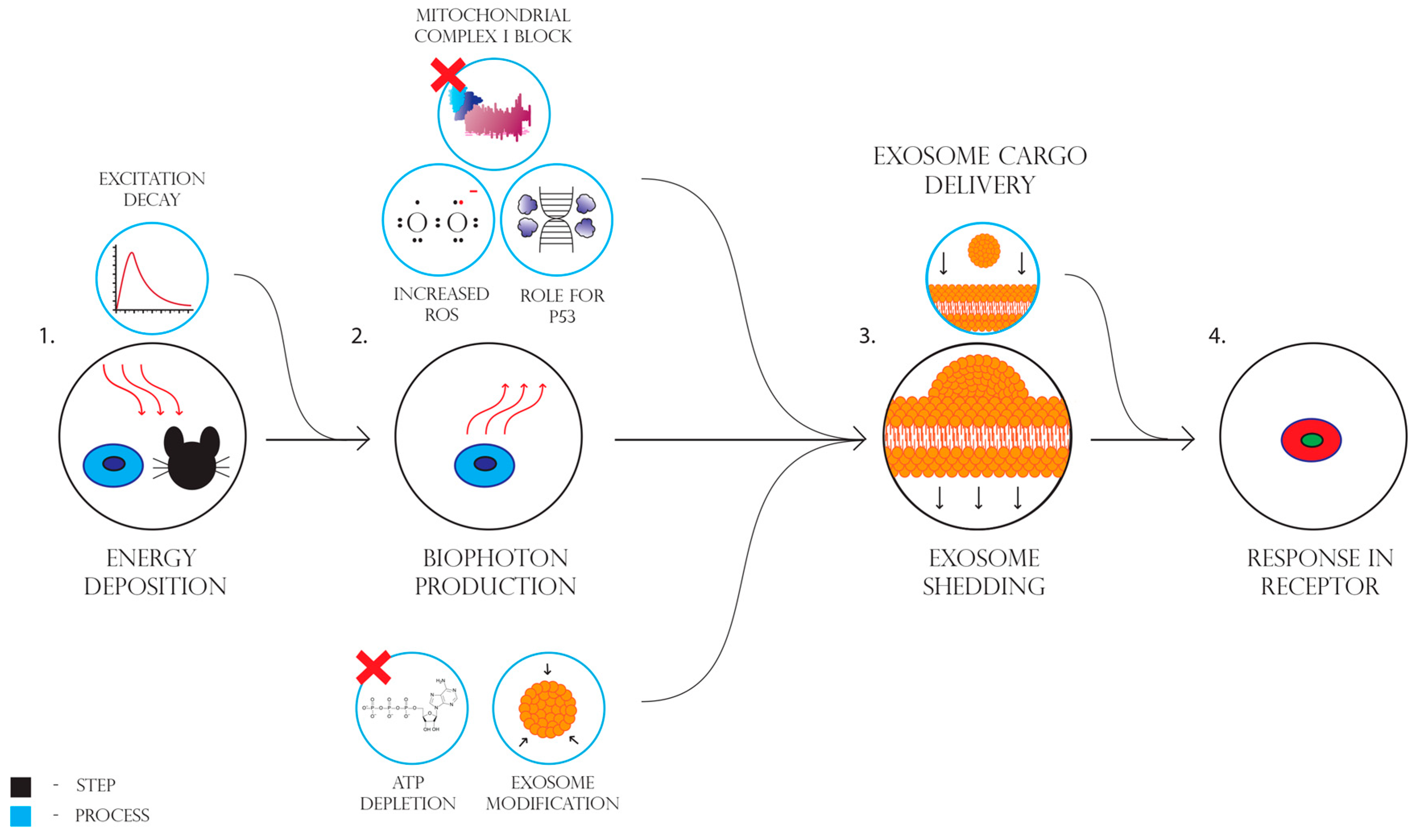 Cancers 11 01236 g007