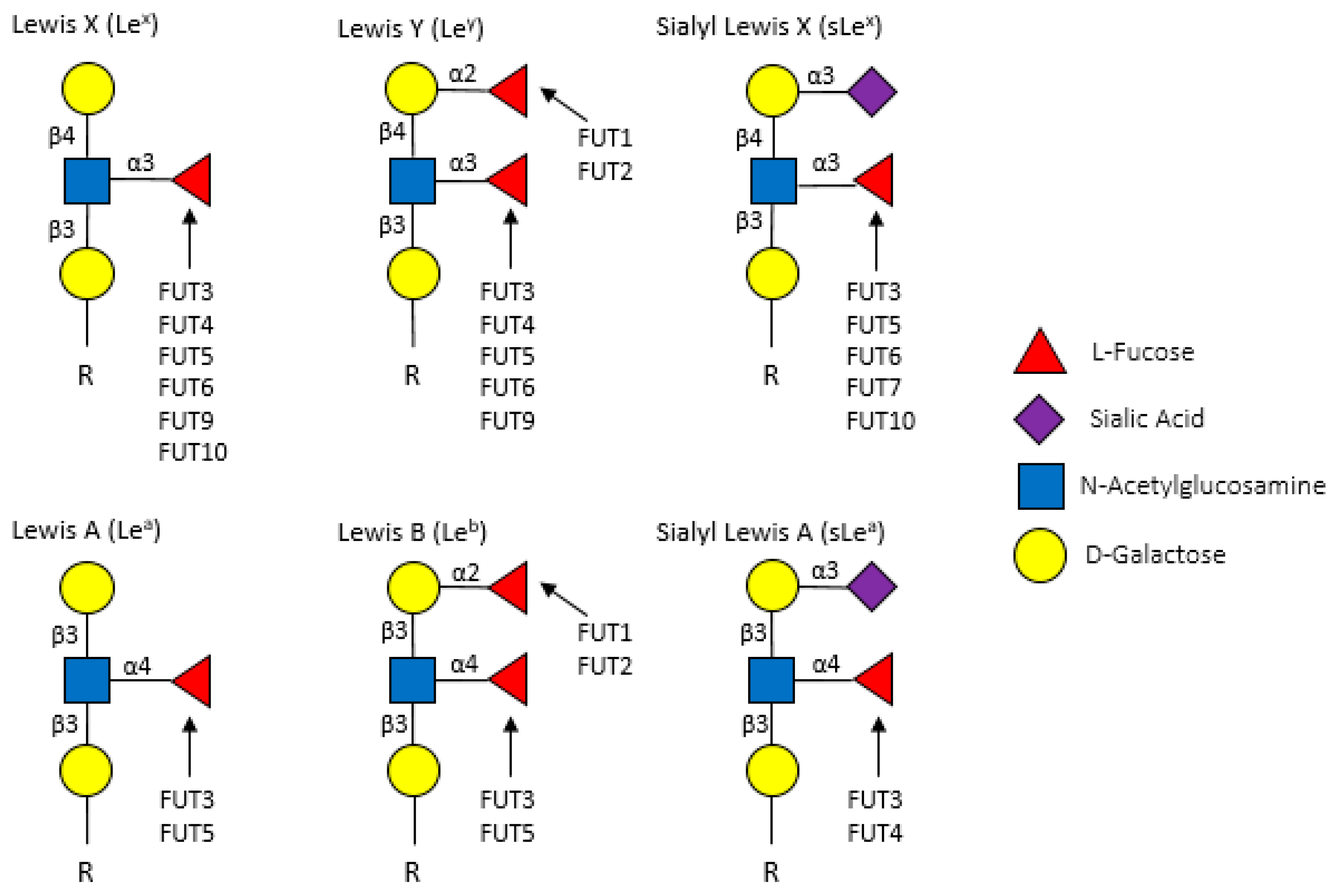Cancers 11 01241 g003
