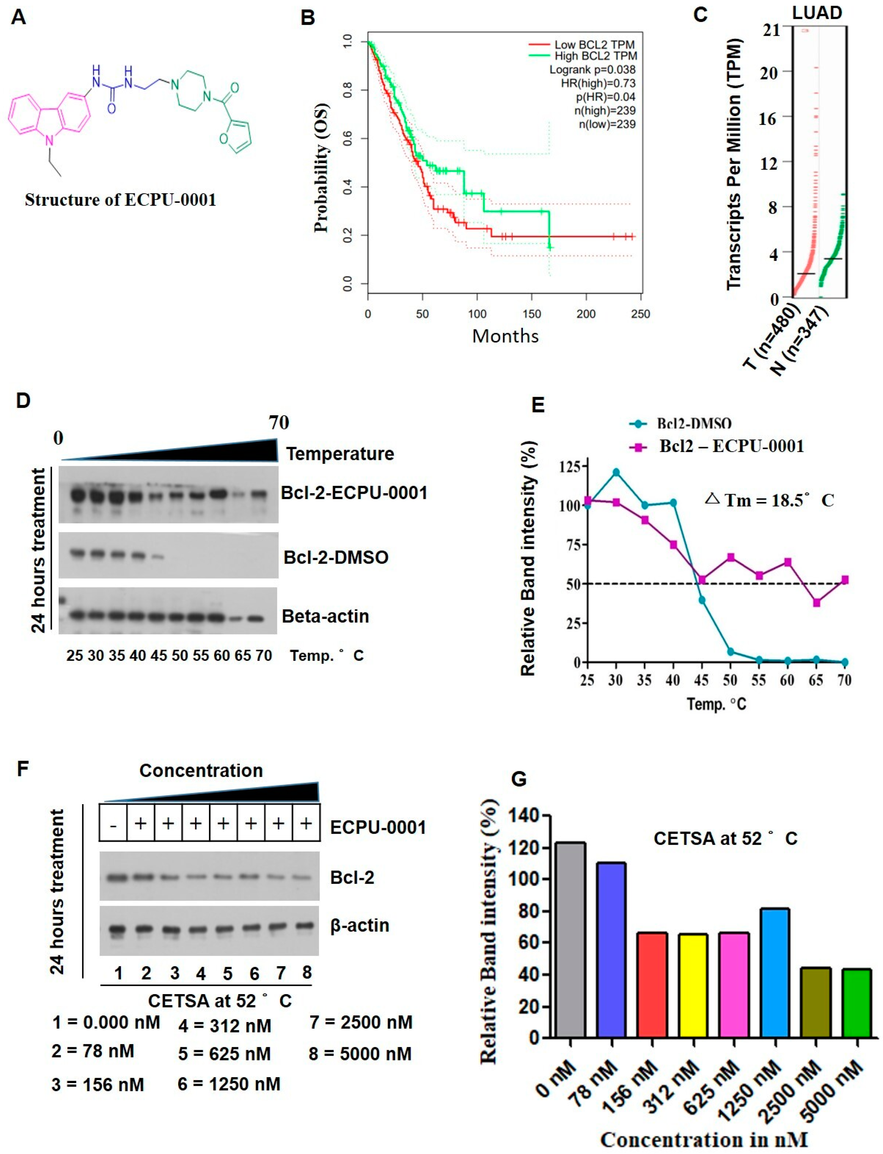 Cancers 11 01245 g003 Cancers 11 01245 g003