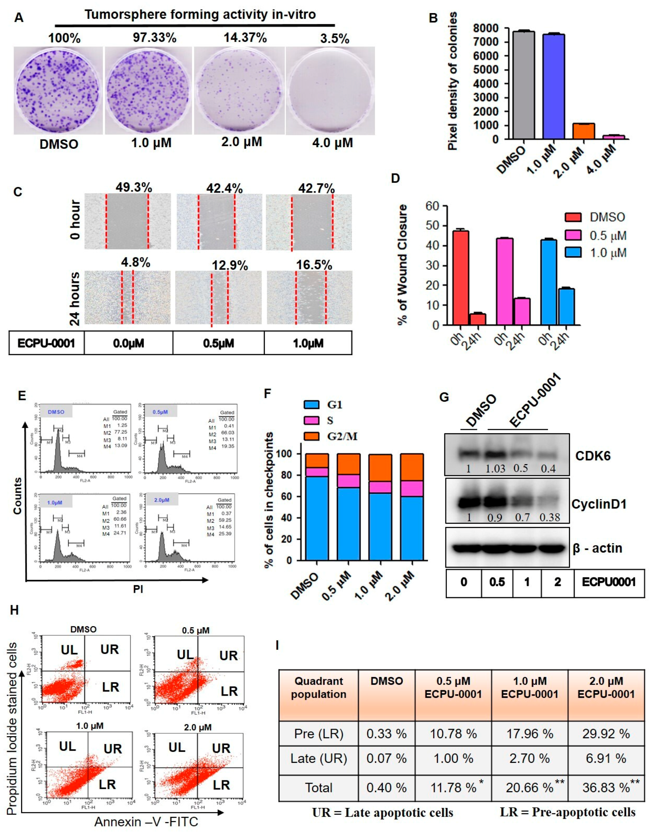 Cancers 11 01245 g005 Cancers 11 01245 g005