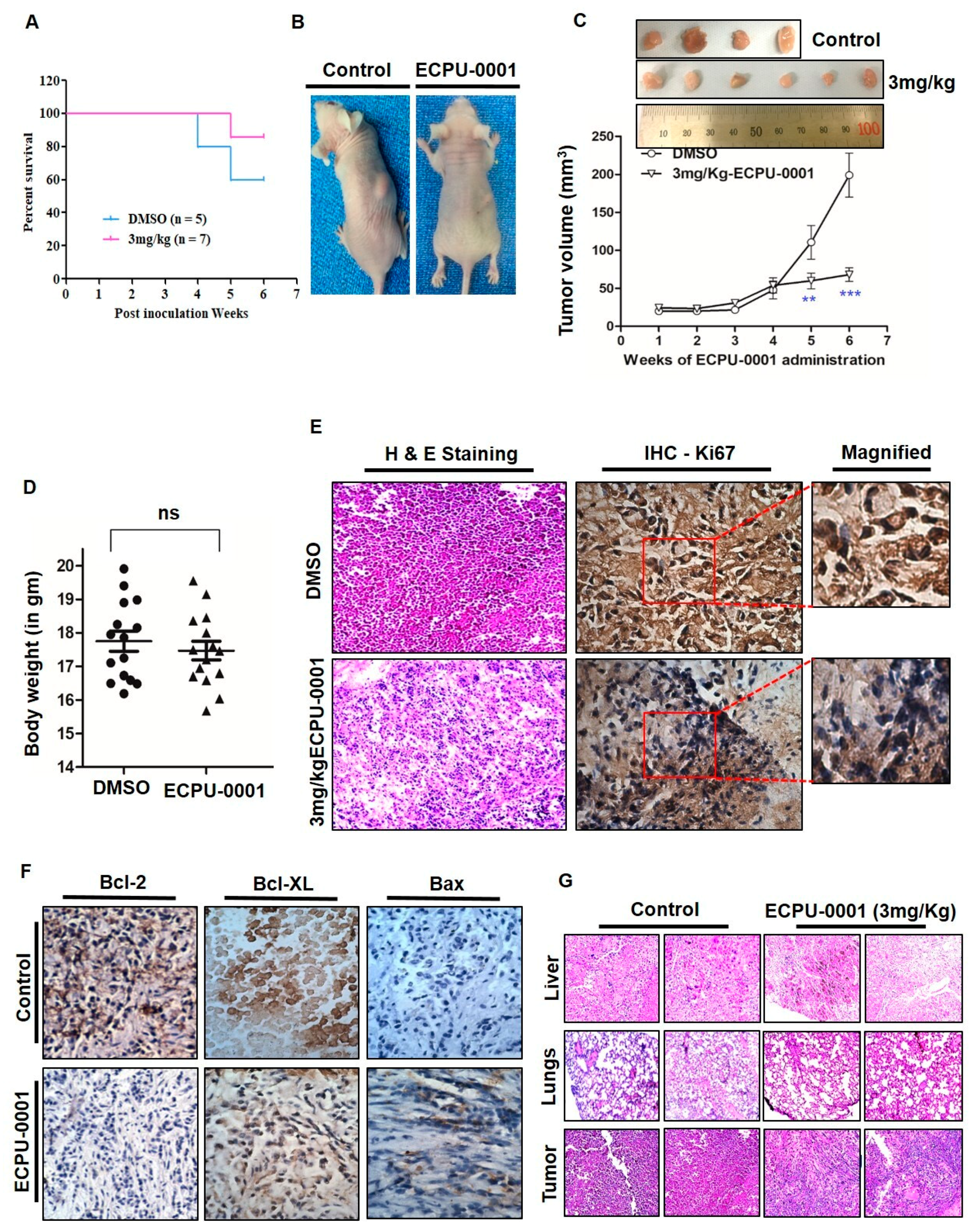 Cancers 11 01245 g007 Cancers 11 01245 g007