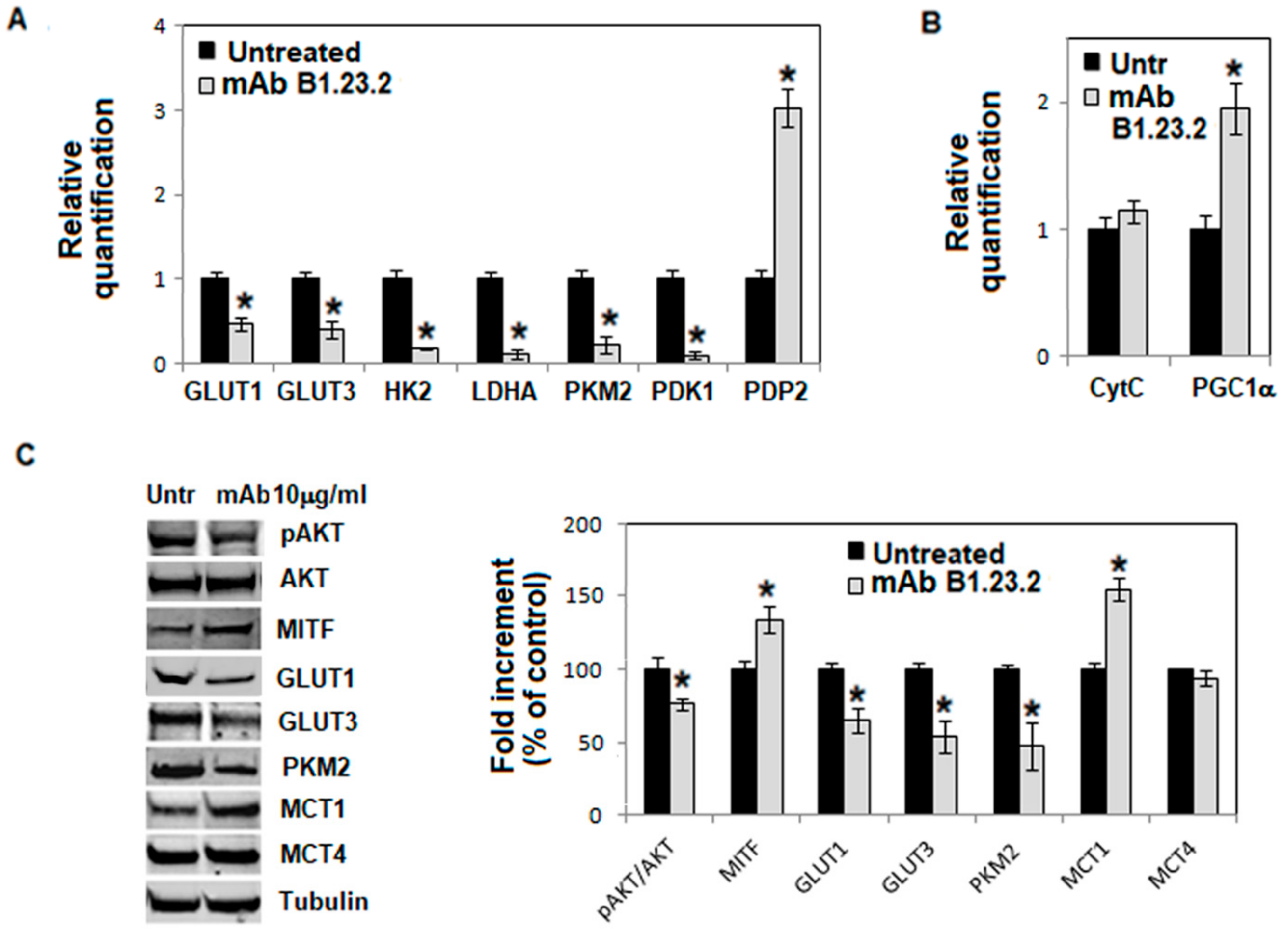 Cancers 11 01249 g002a