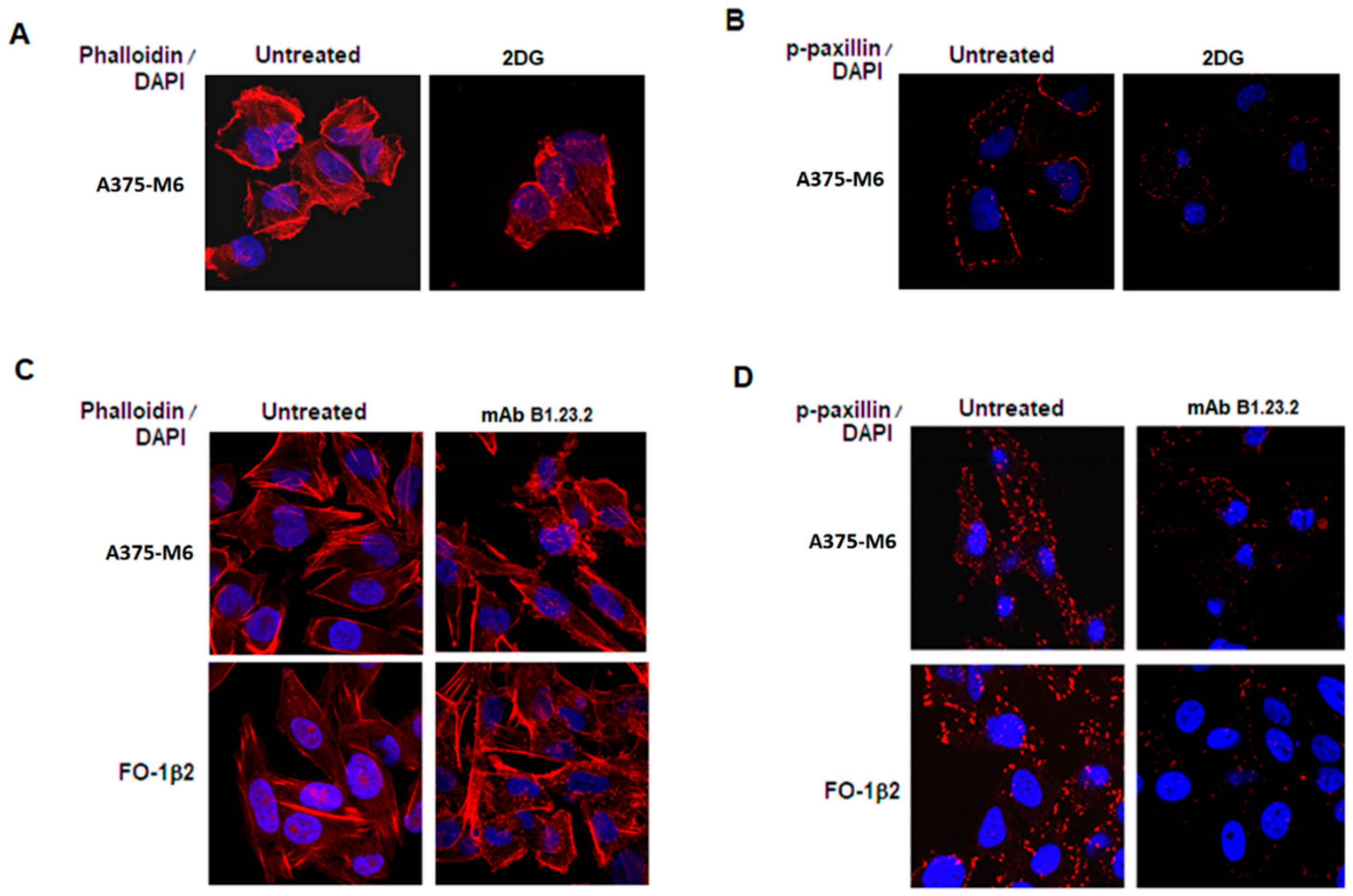 Cancers 11 01249 g006
