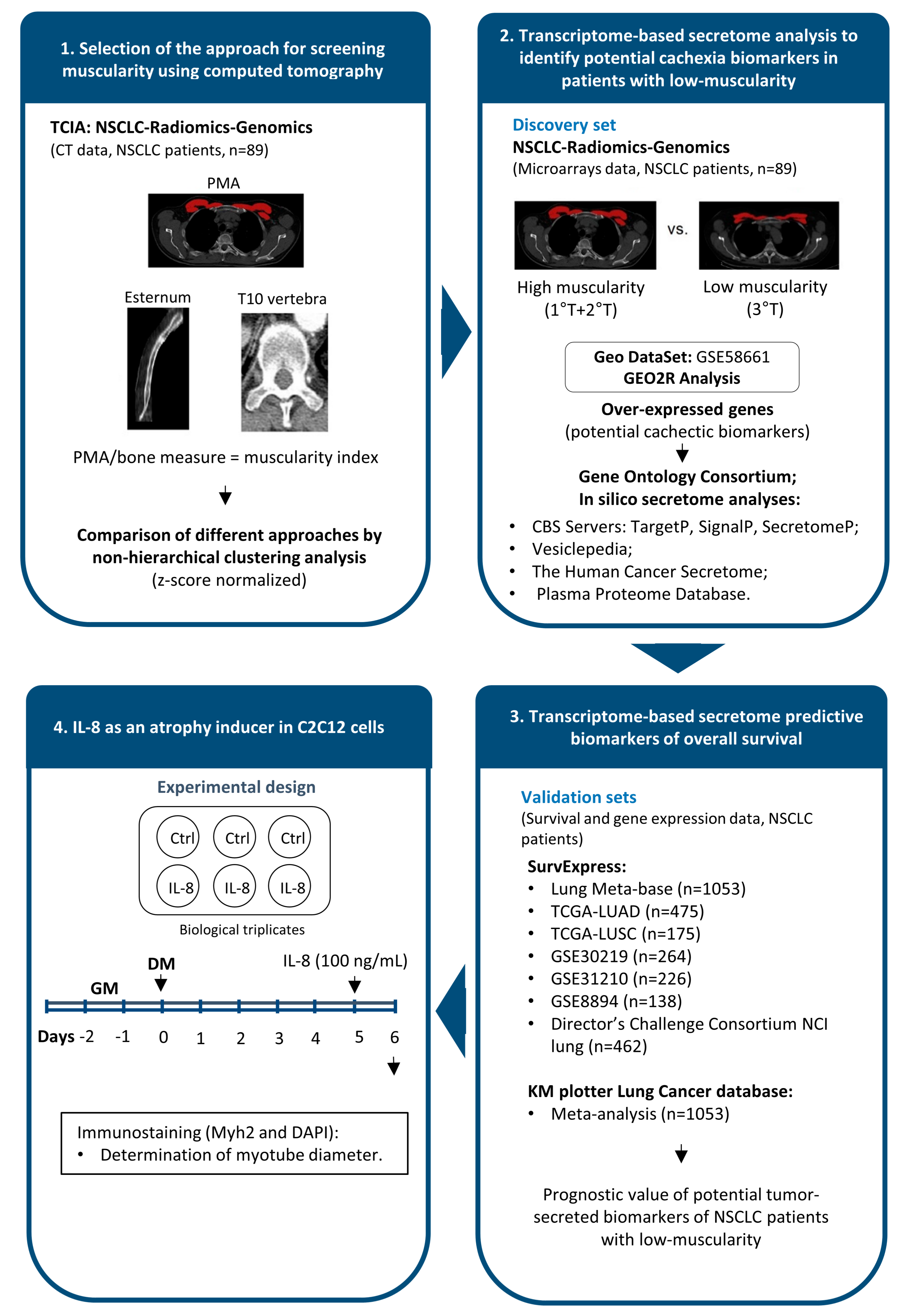 Cancers 11 01251 g001