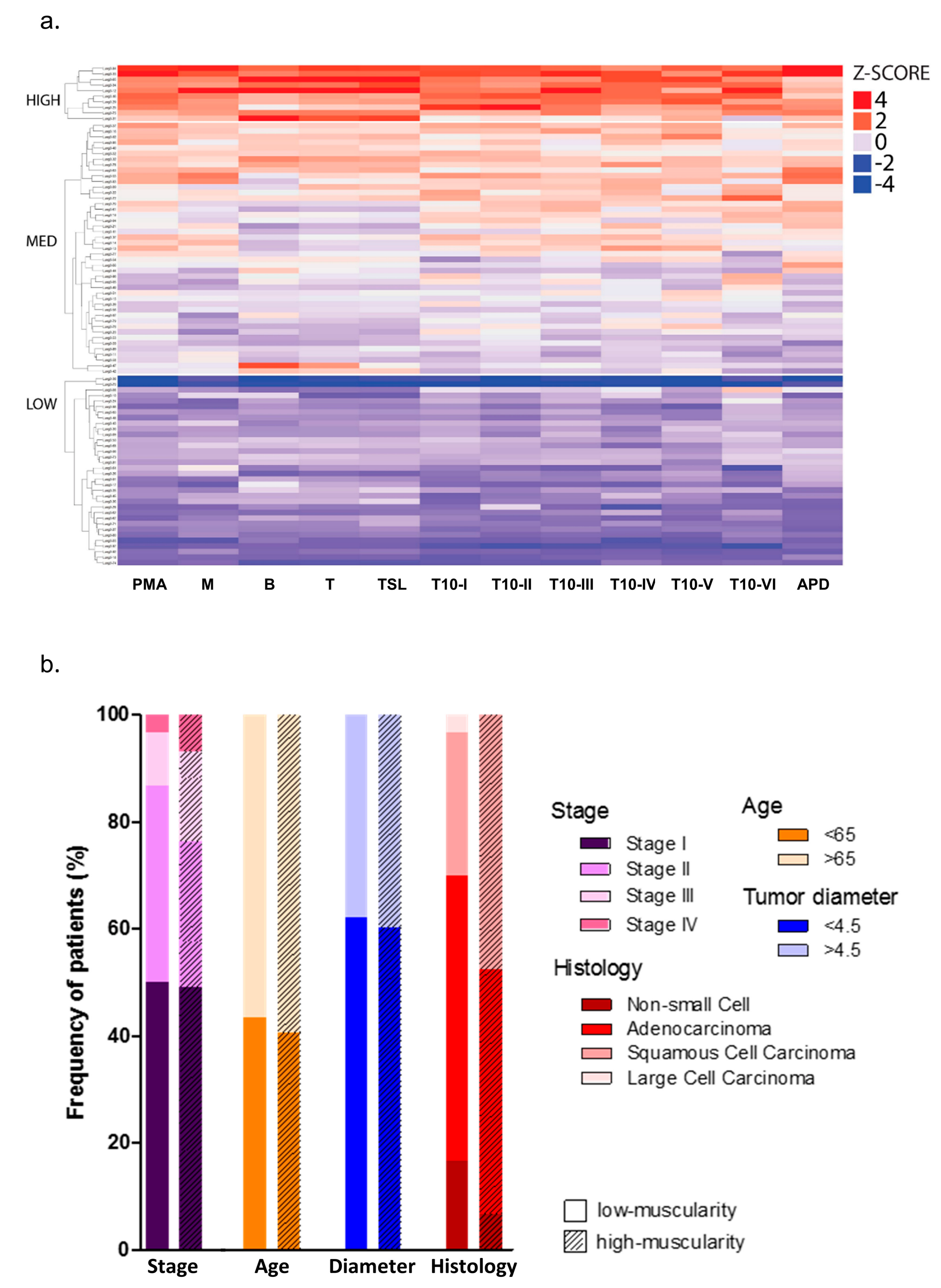 Cancers 11 01251 g002