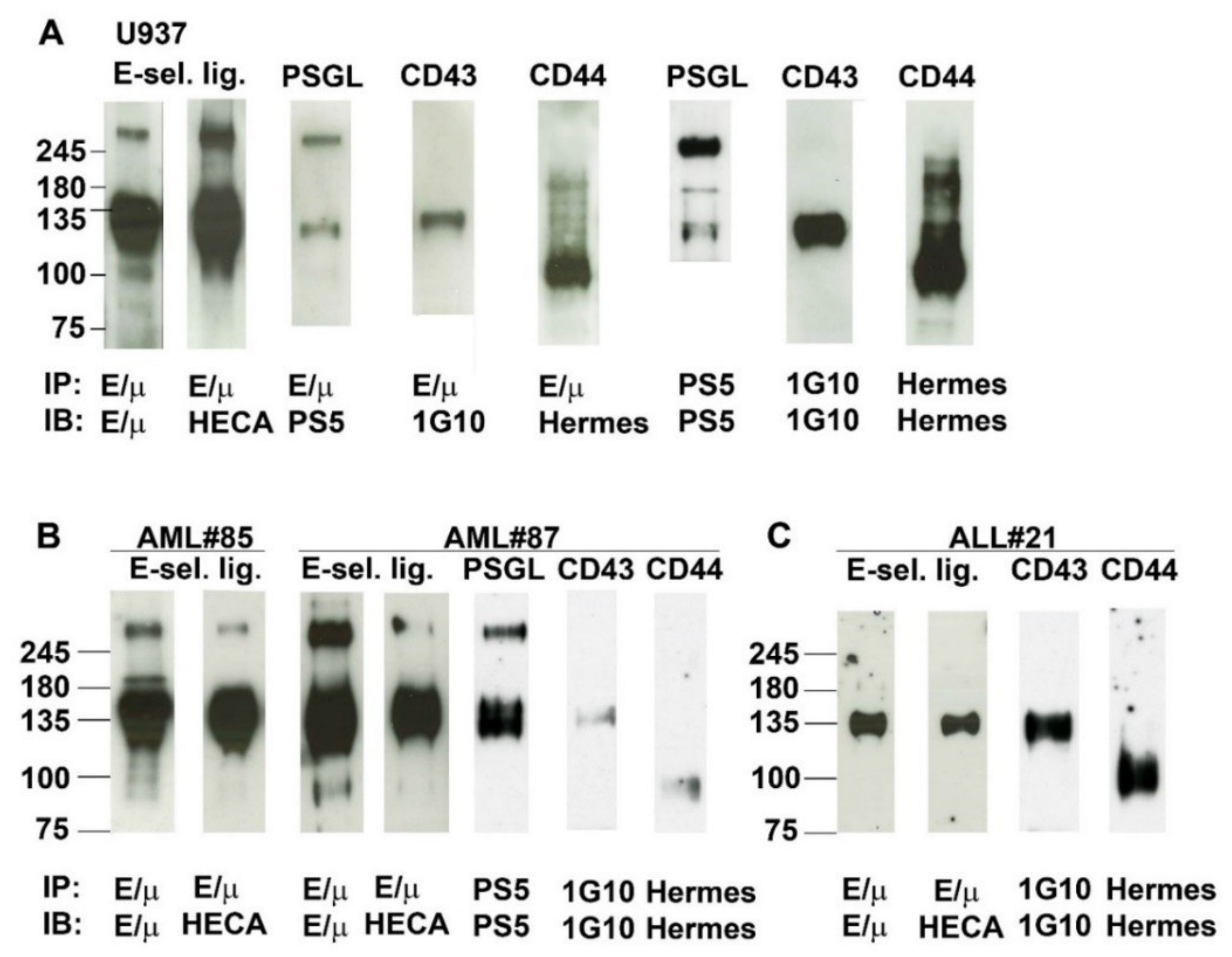 Cancers 11 01253 g005
