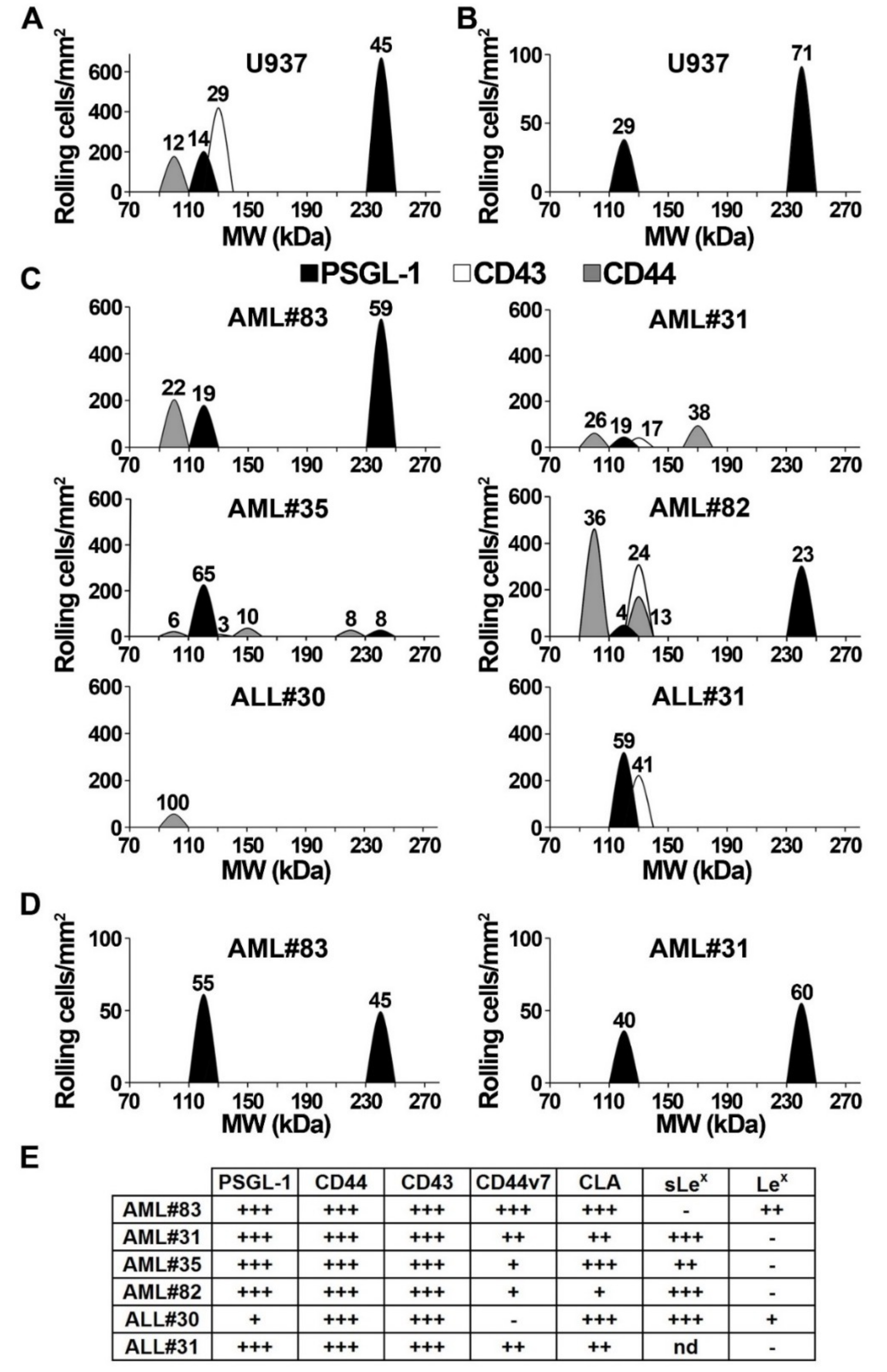 Cancers 11 01253 g006