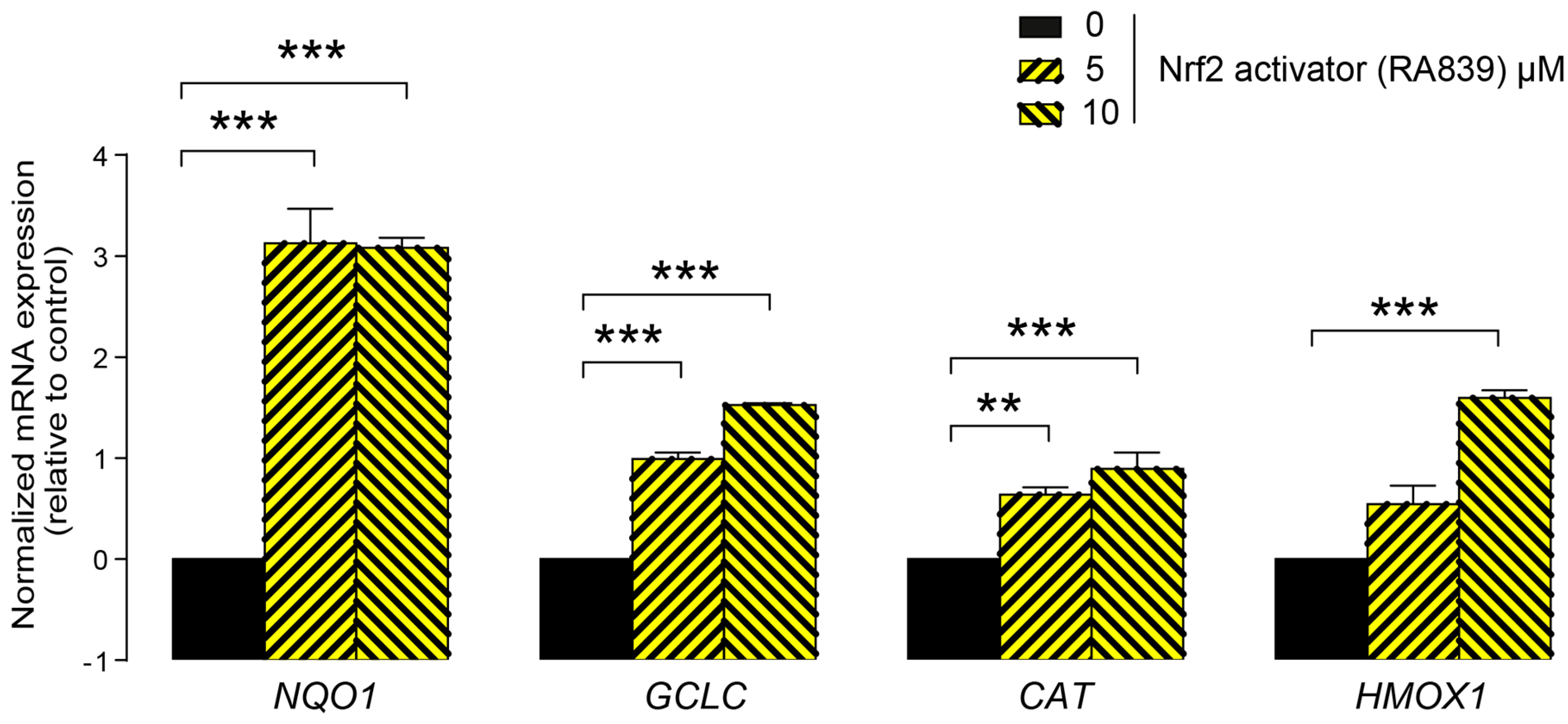 Cancers 11 01255 g003 Cancers 11 01255 g003