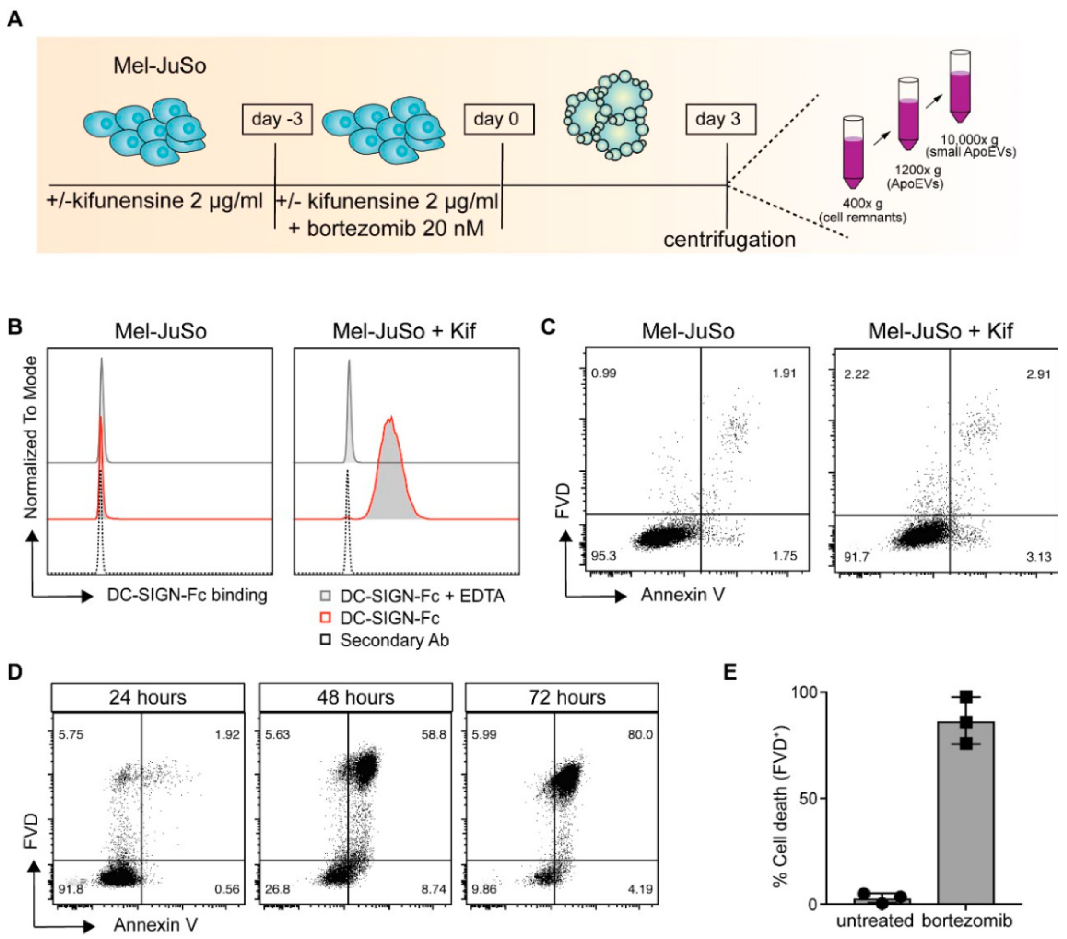 Cancers 11 01266 g001 Cancers 11 01266 g001