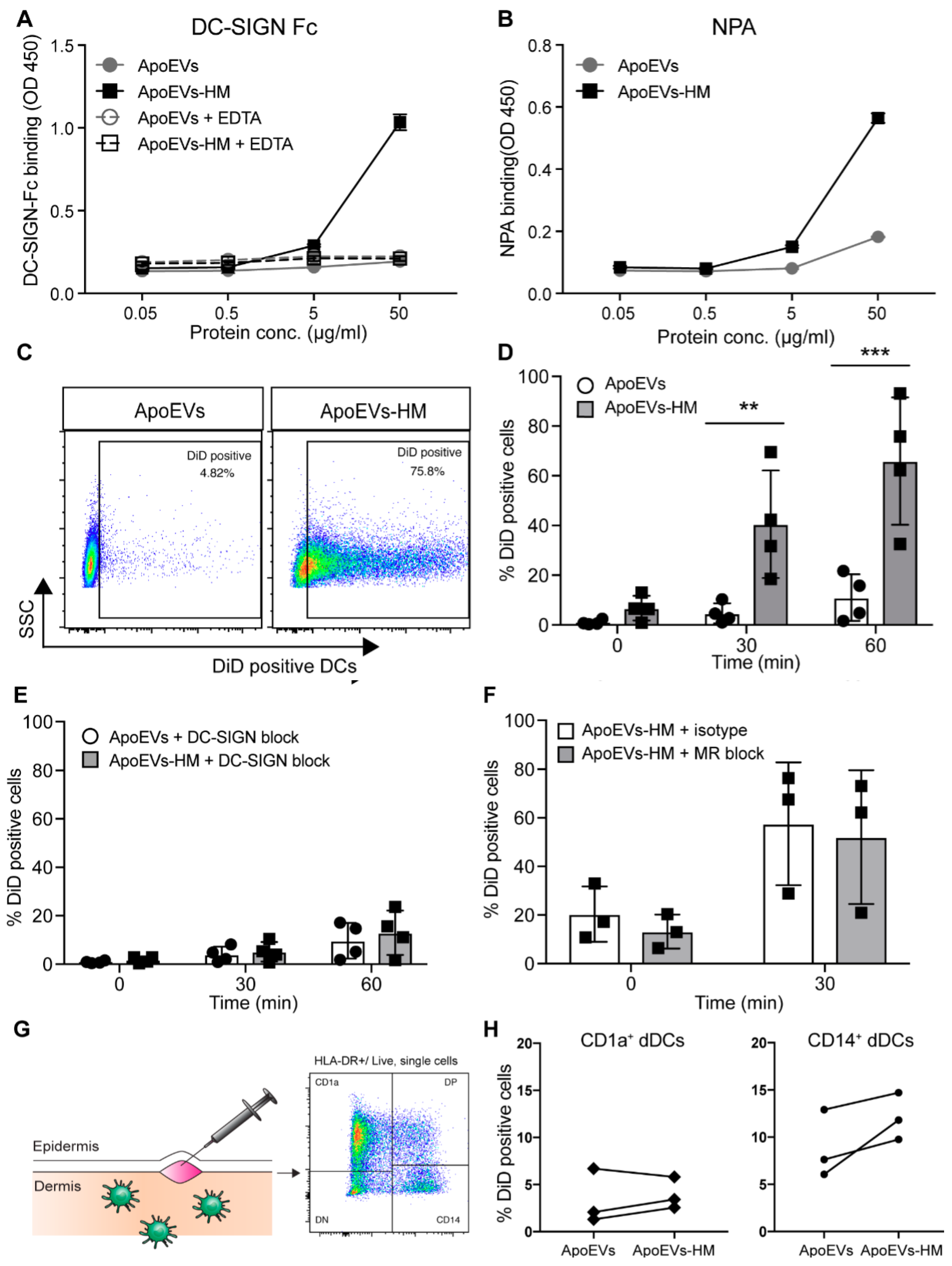Cancers 11 01266 g002 Cancers 11 01266 g002