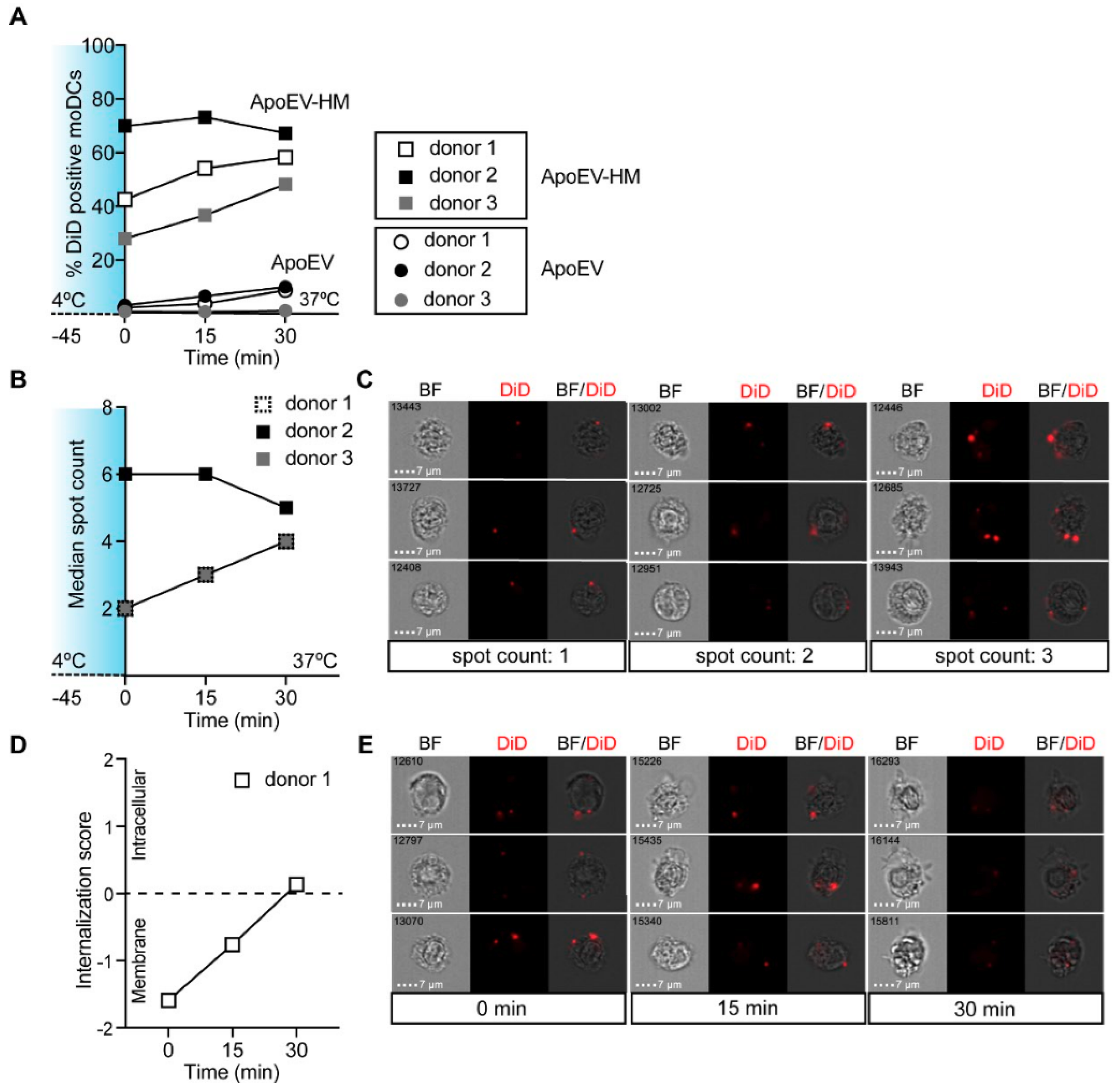 Cancers 11 01266 g003 Cancers 11 01266 g003