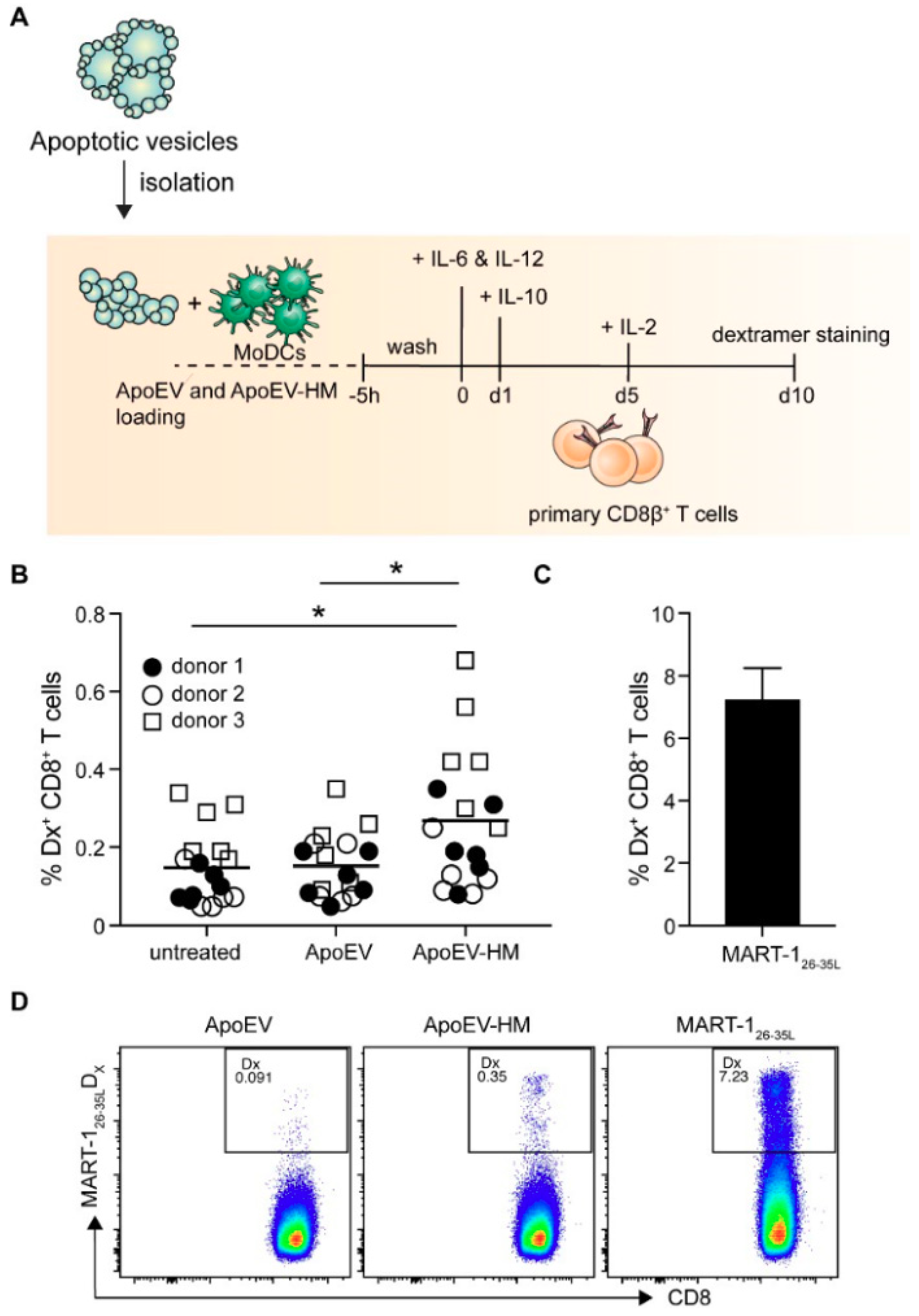 Cancers 11 01266 g005 Cancers 11 01266 g005