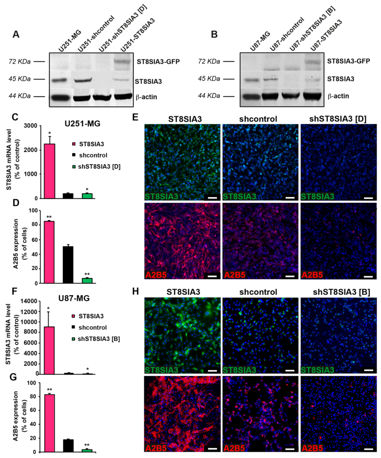 Cancers 11 01267 g001