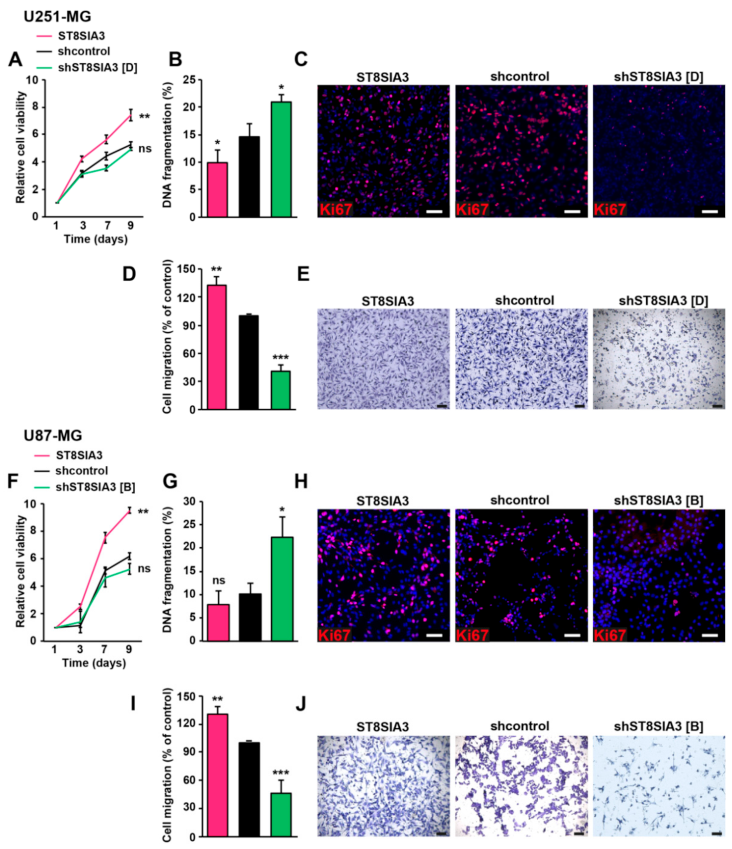 Cancers 11 01267 g002