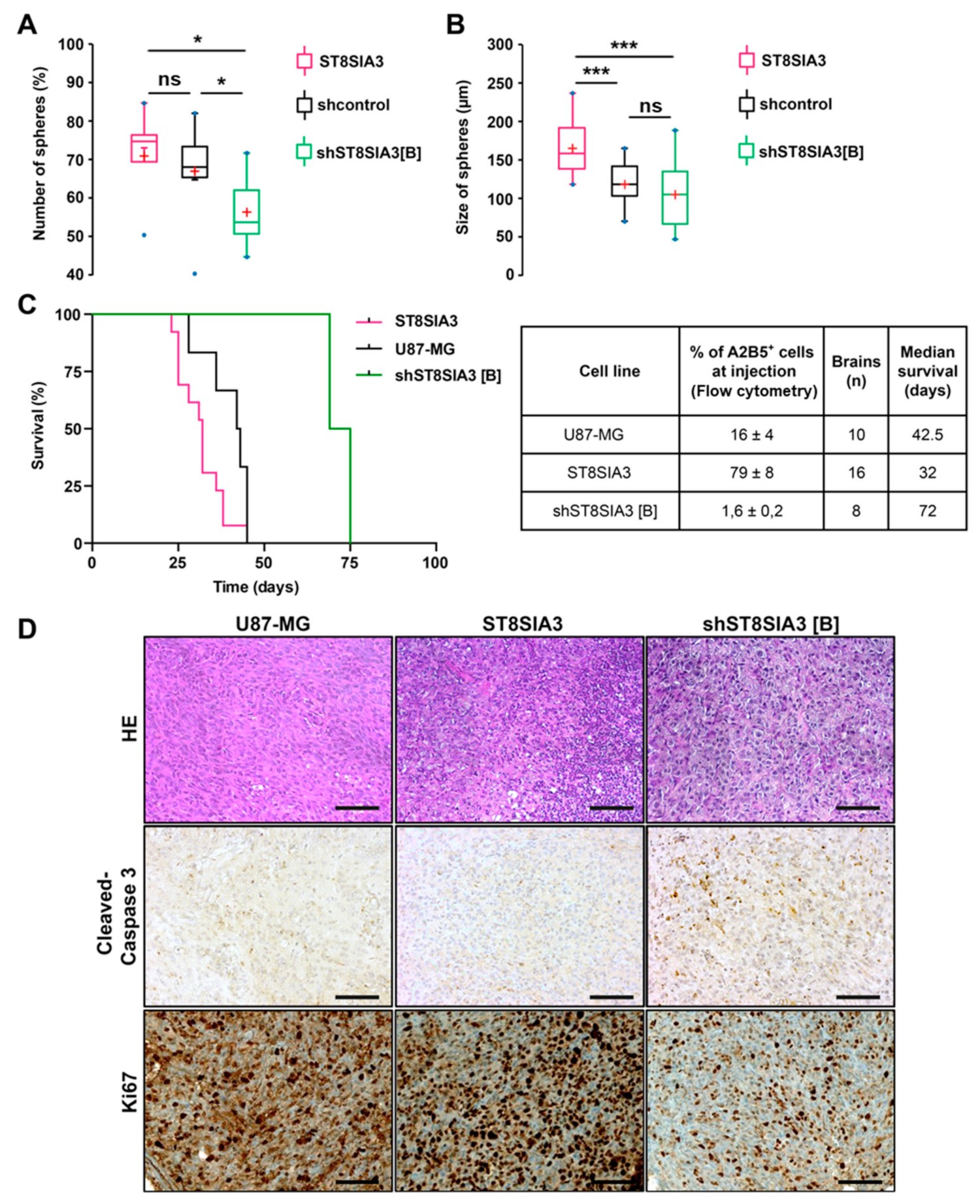 Cancers 11 01267 g003
