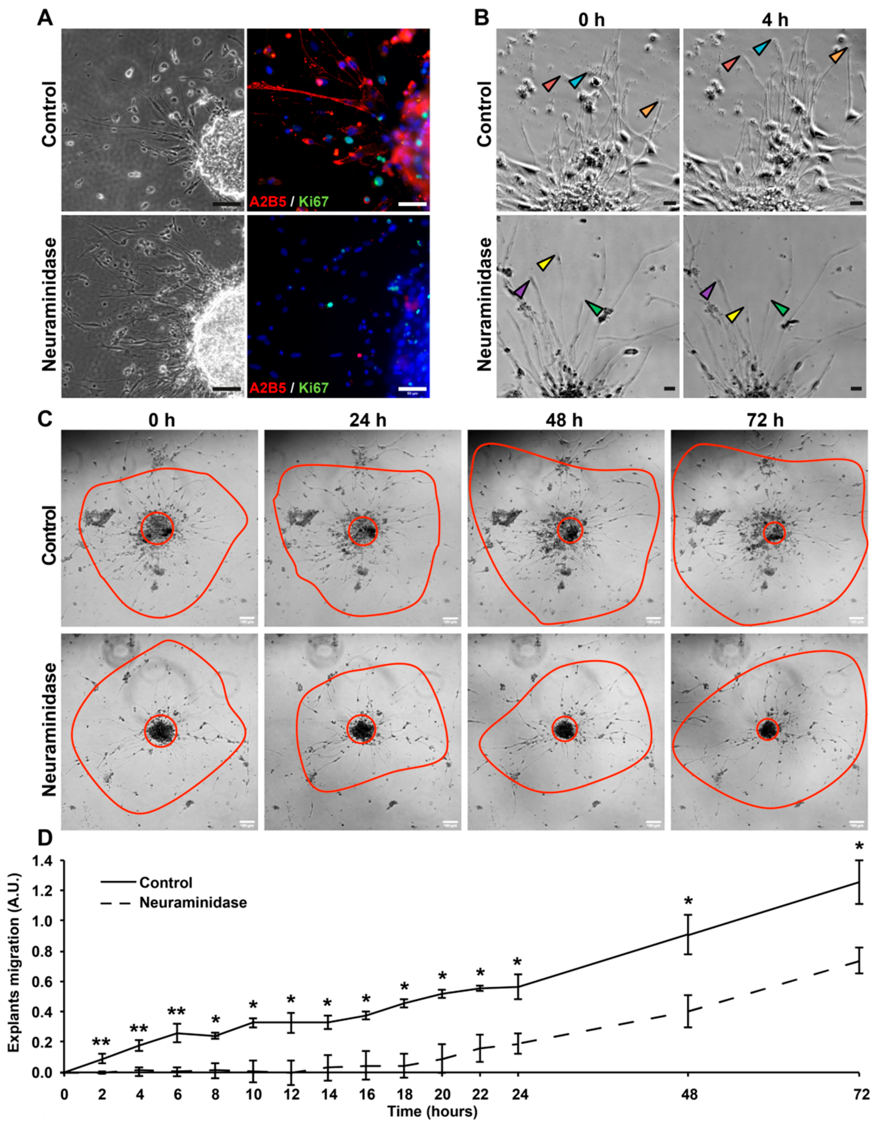 Cancers 11 01267 g005