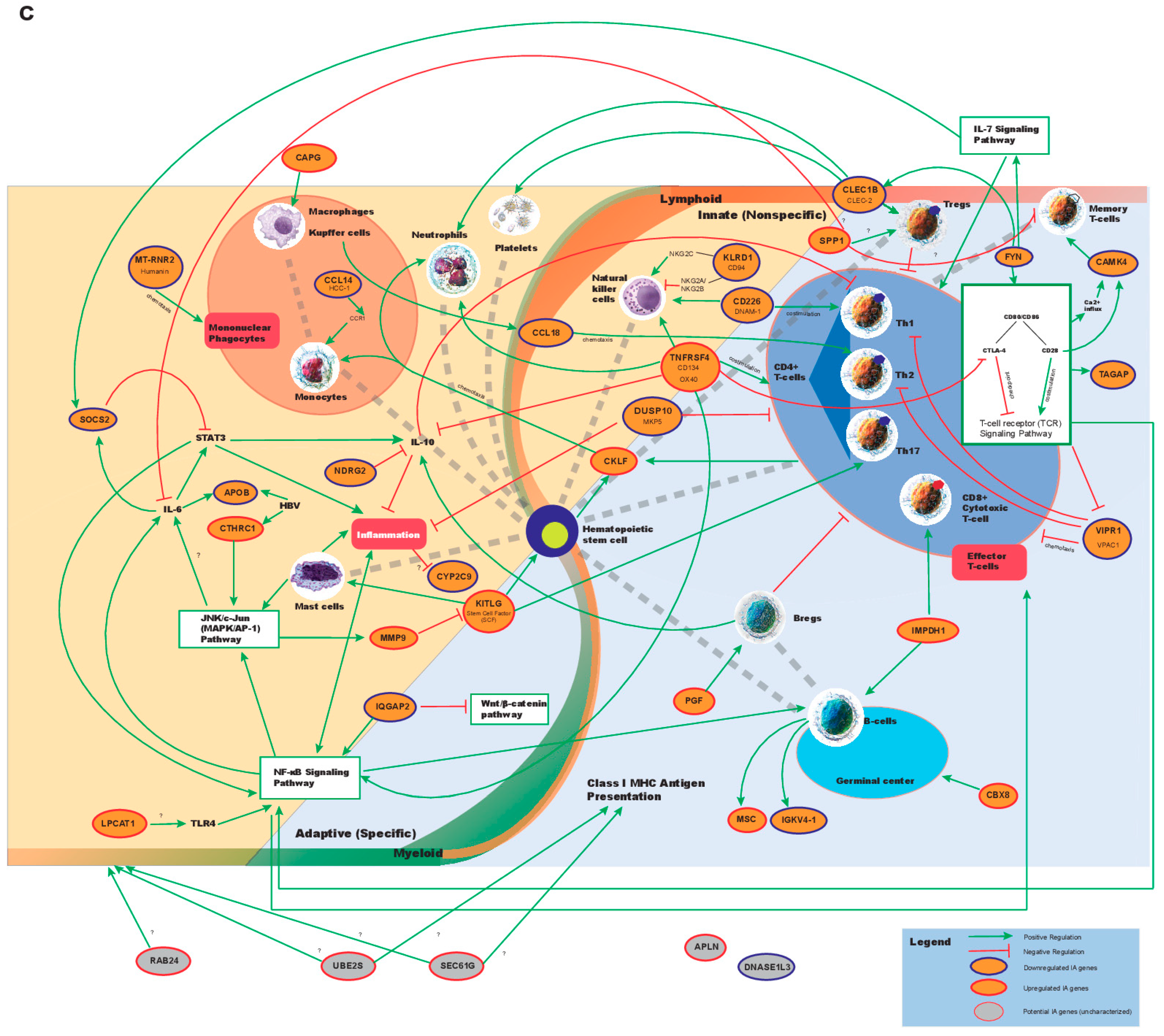 Cancers 11 01273 g002b