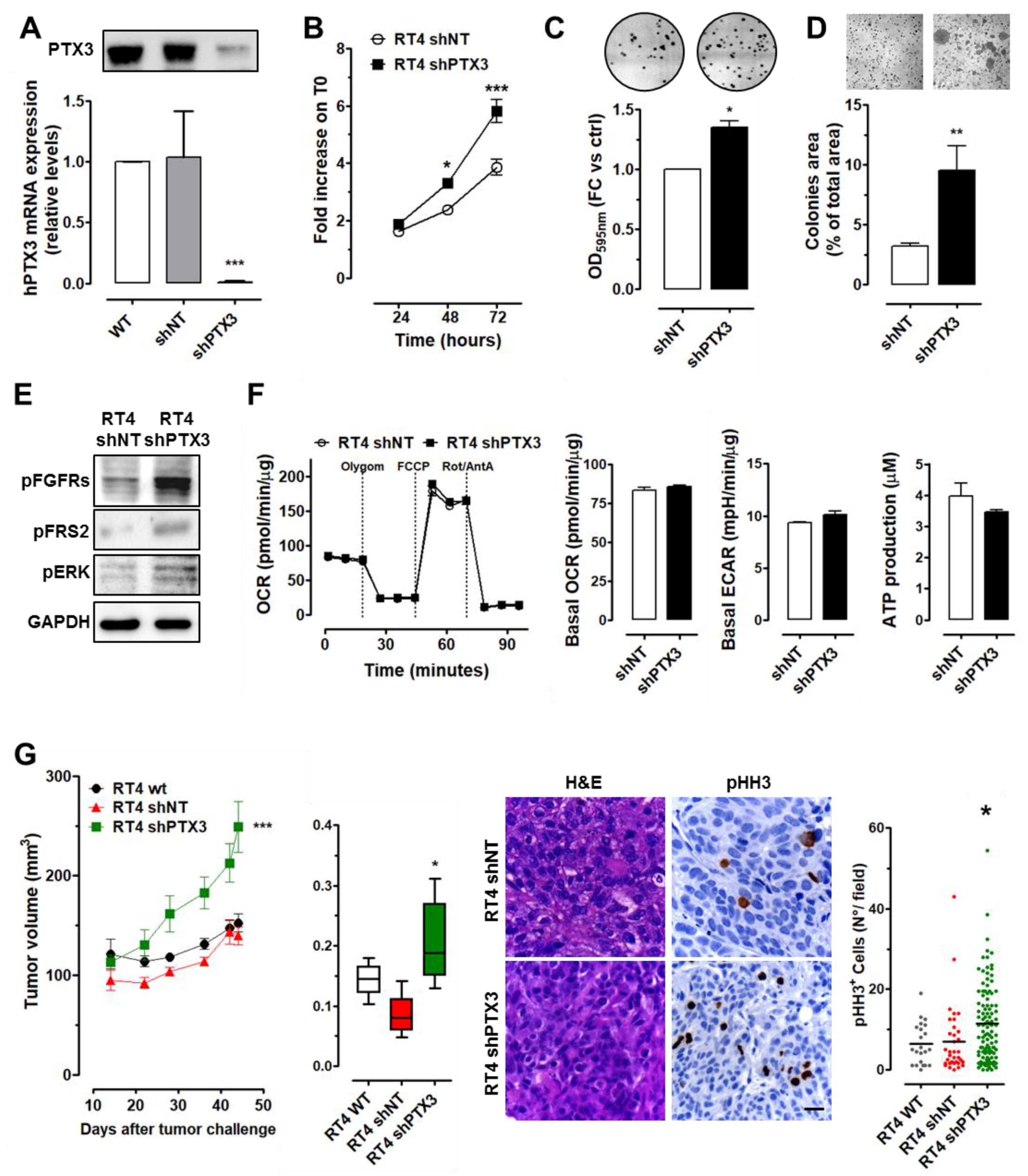 Cancers 11 01277 g002 Cancers 11 01277 g002