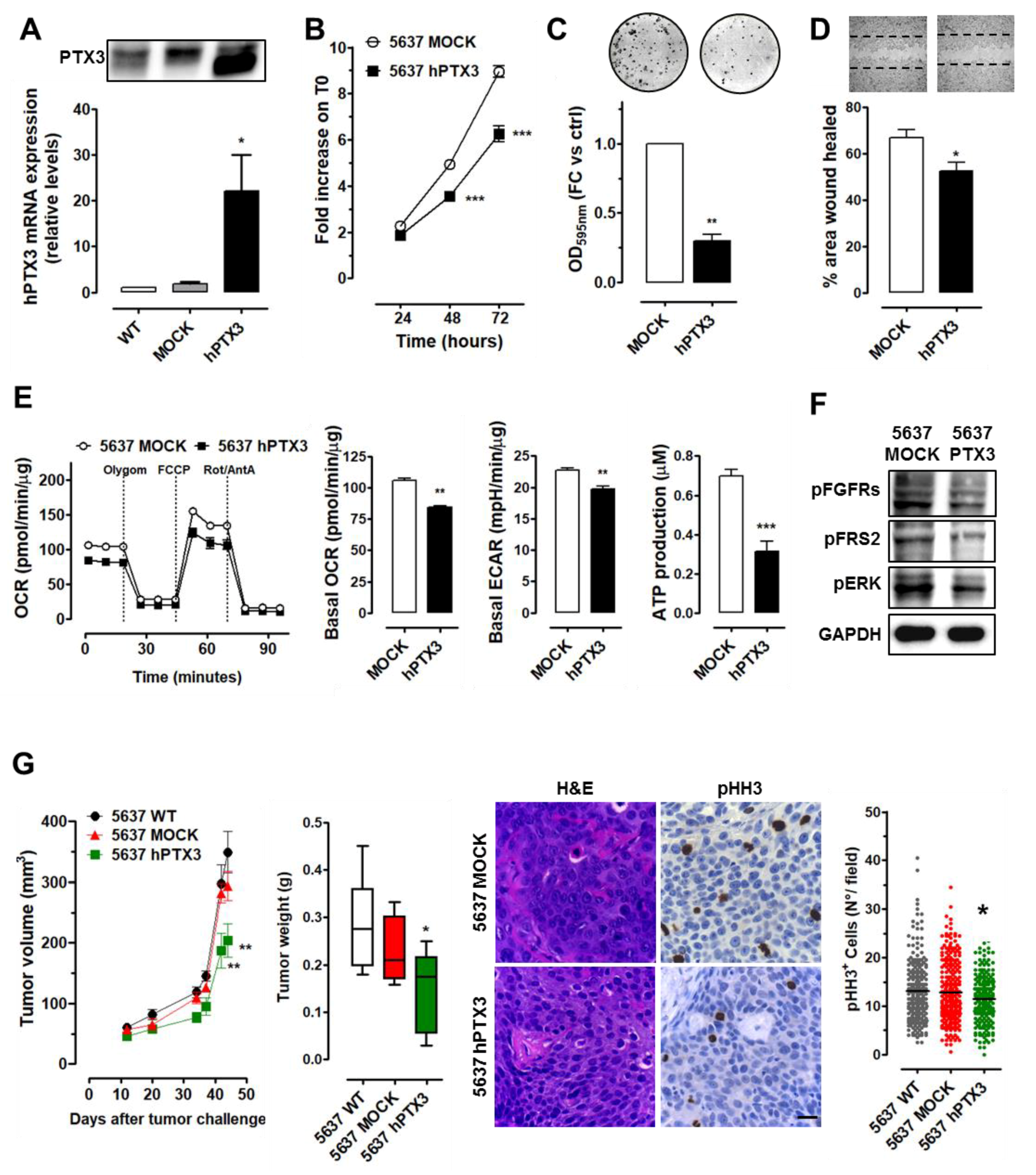 Cancers 11 01277 g003 Cancers 11 01277 g003
