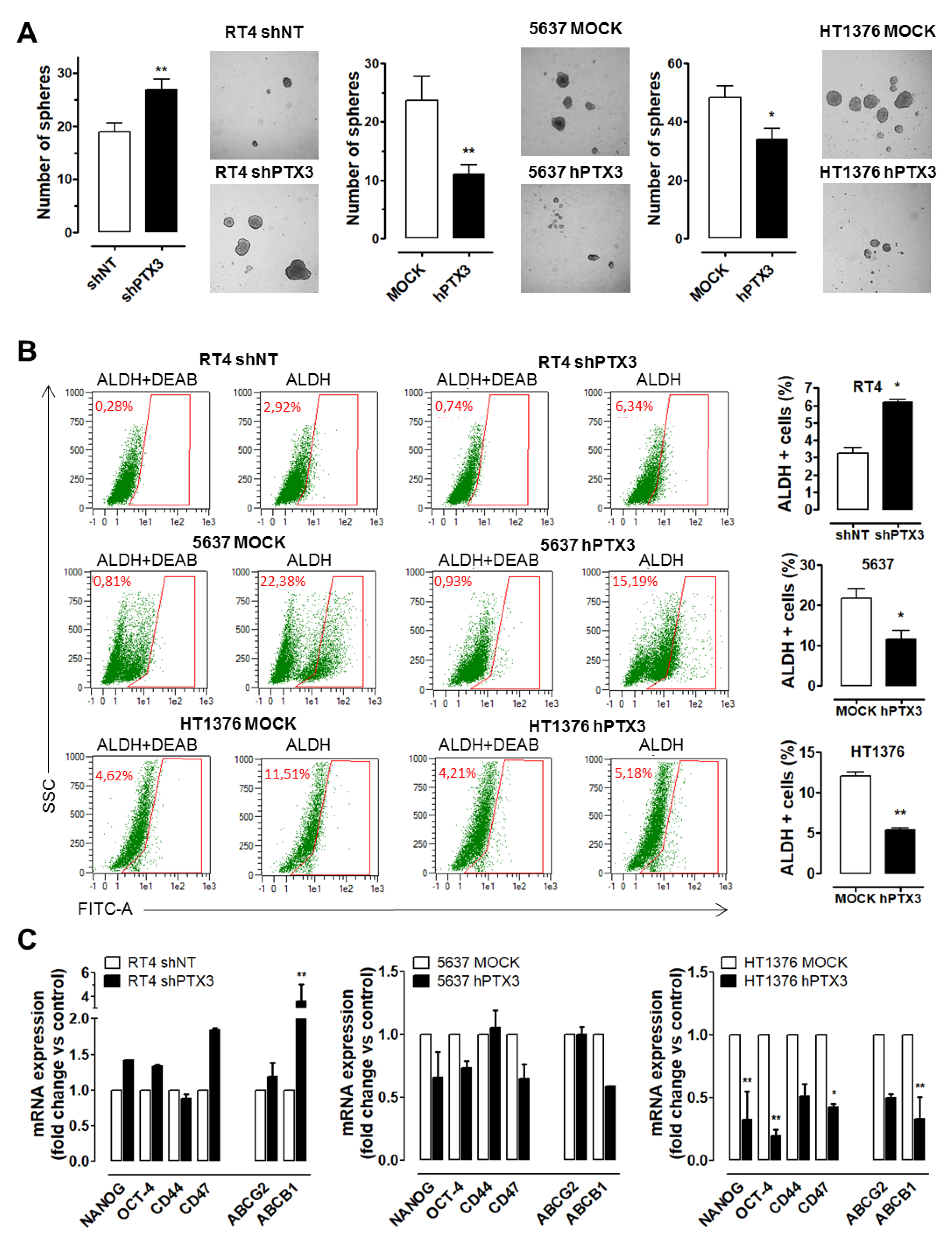 Cancers 11 01277 g005 Cancers 11 01277 g005