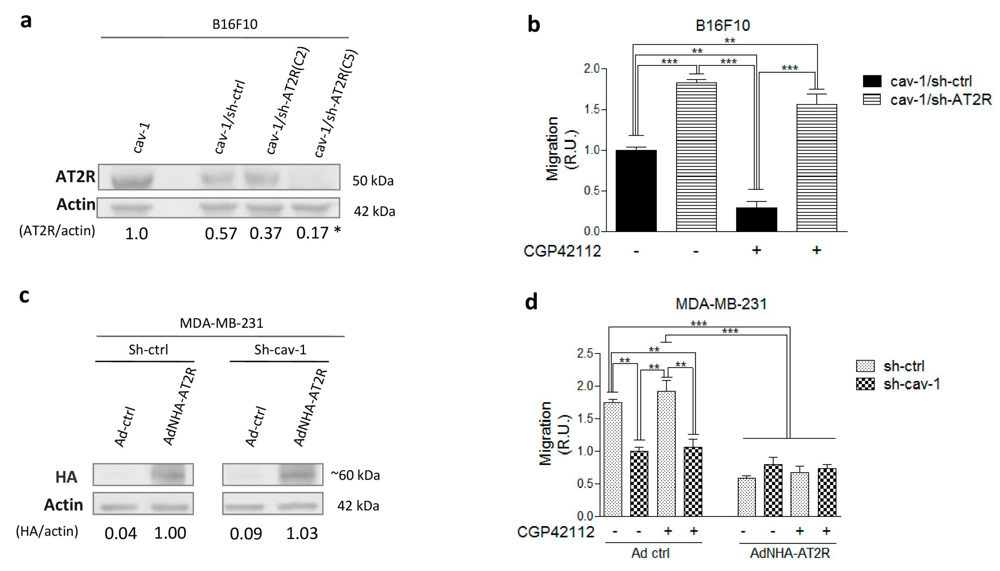 Cancers 11 01299 g002