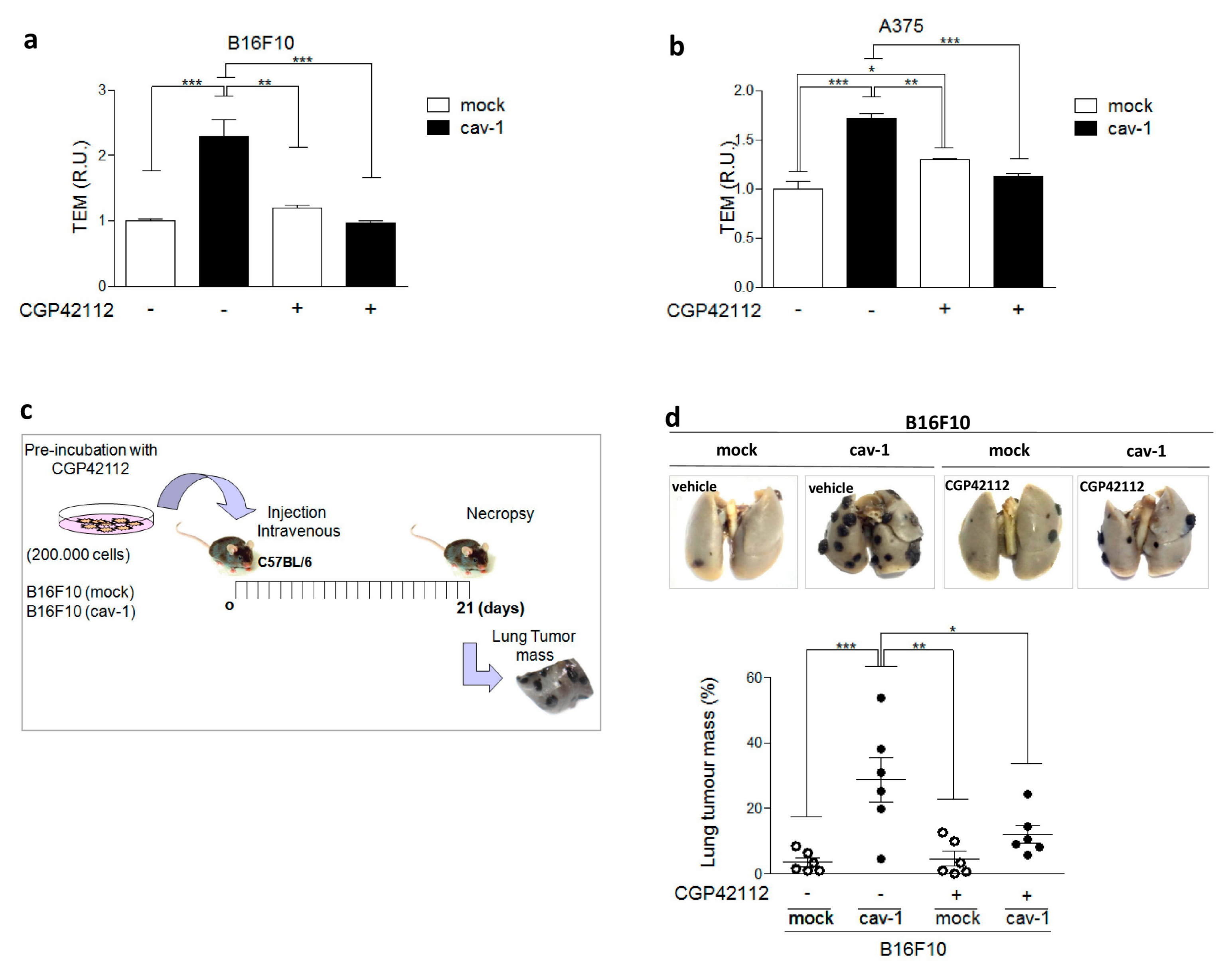Cancers 11 01299 g005
