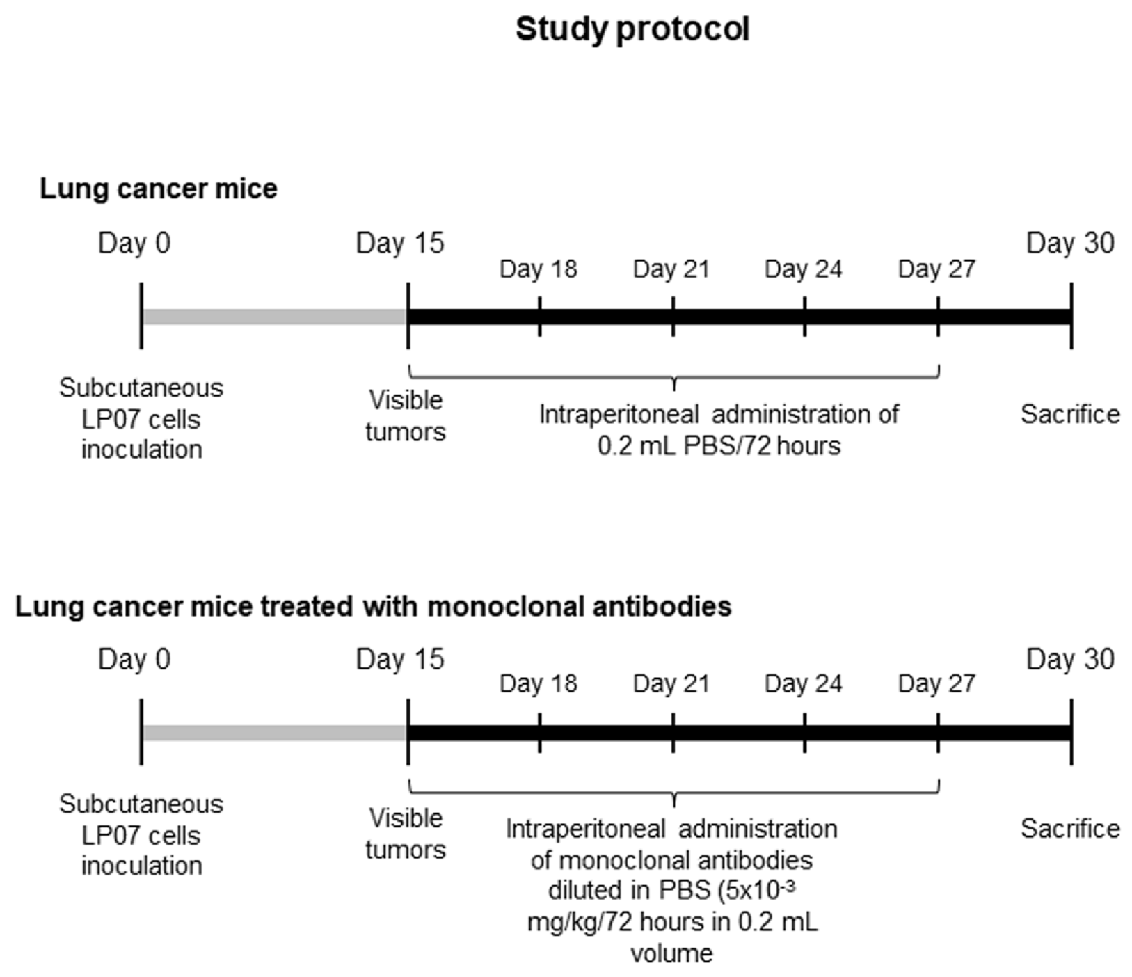 Cancers 11 01301 g001