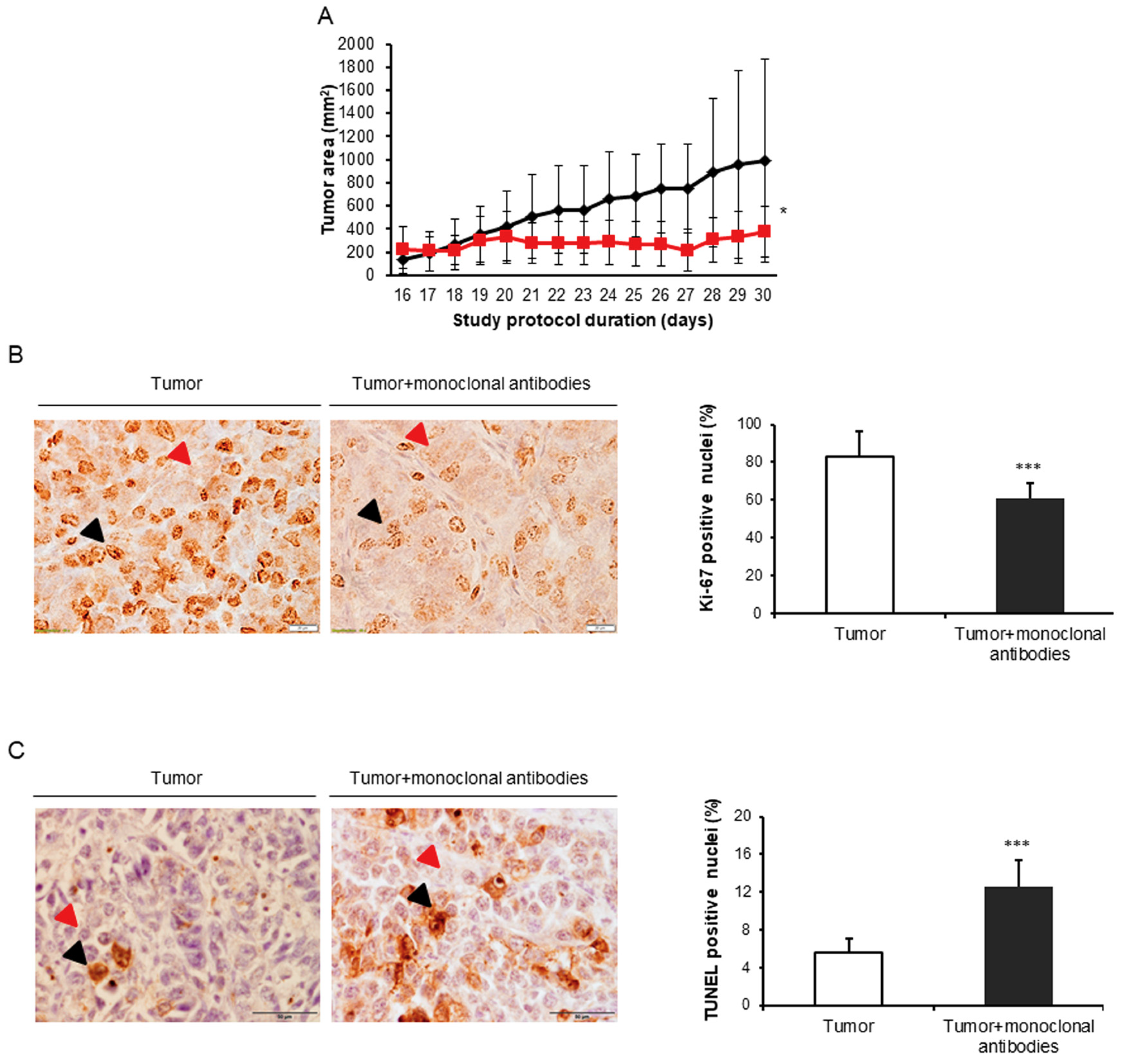 Cancers 11 01301 g002