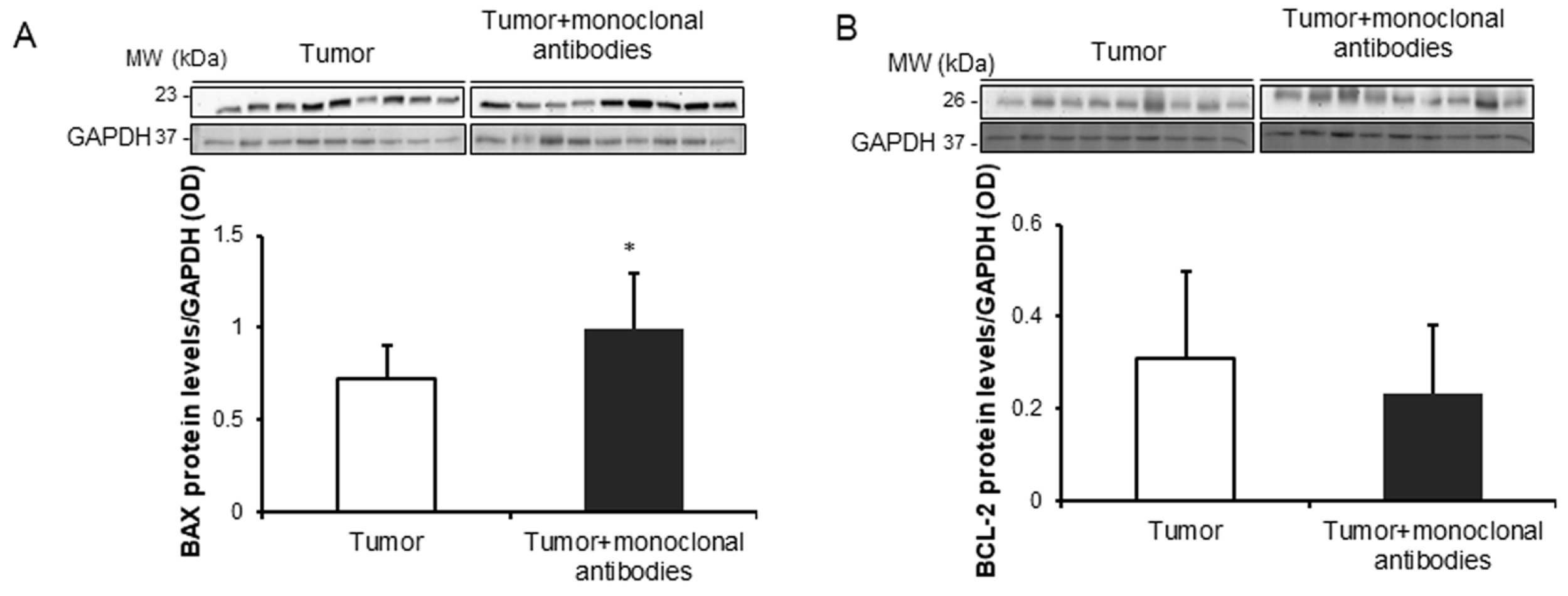 Cancers 11 01301 g006