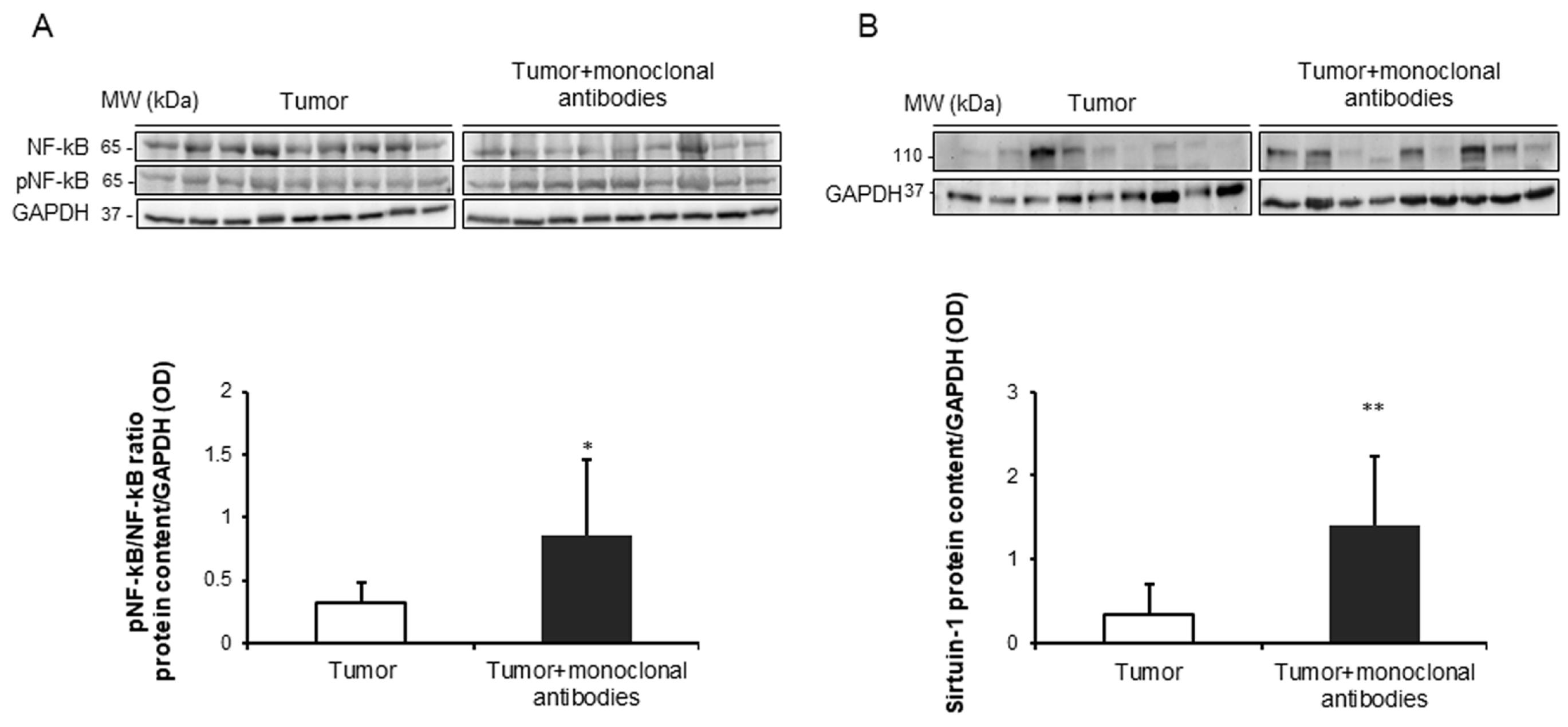 Cancers 11 01301 g008