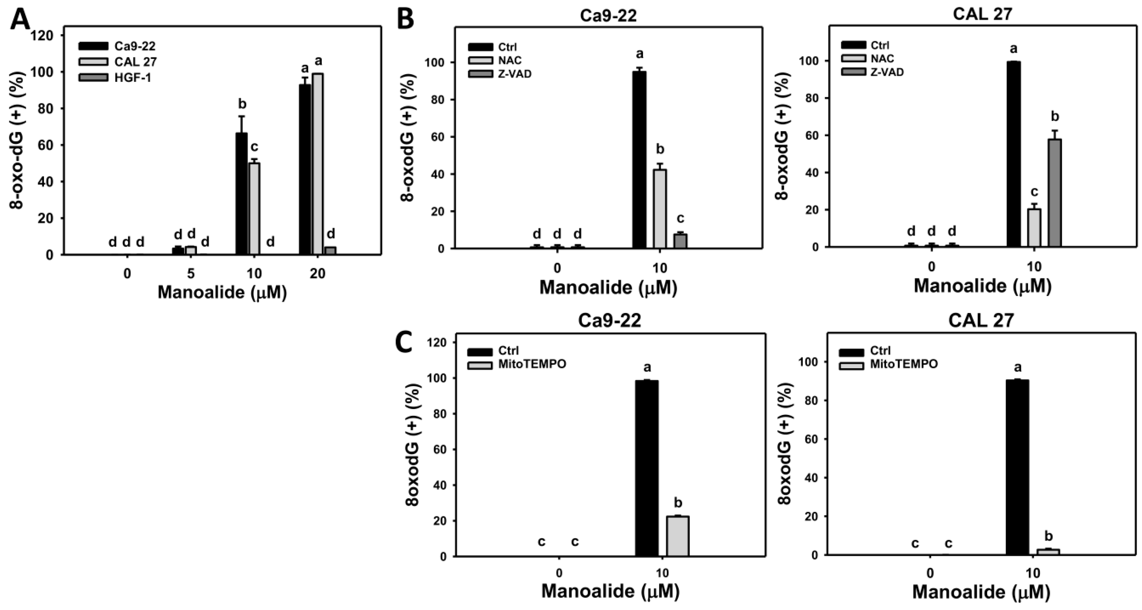Cancers 11 01303 g008
