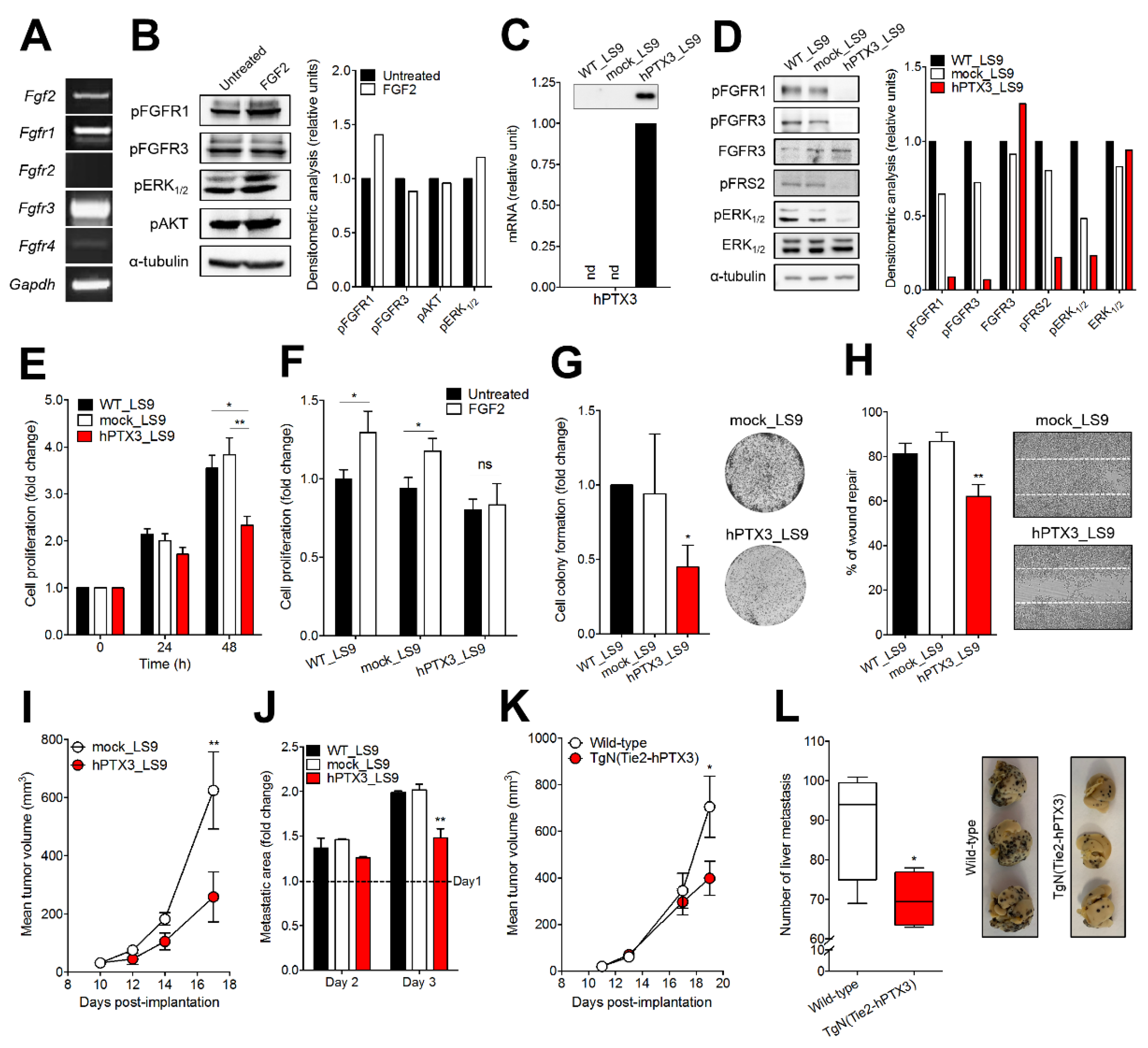 Cancers 11 01305 g003