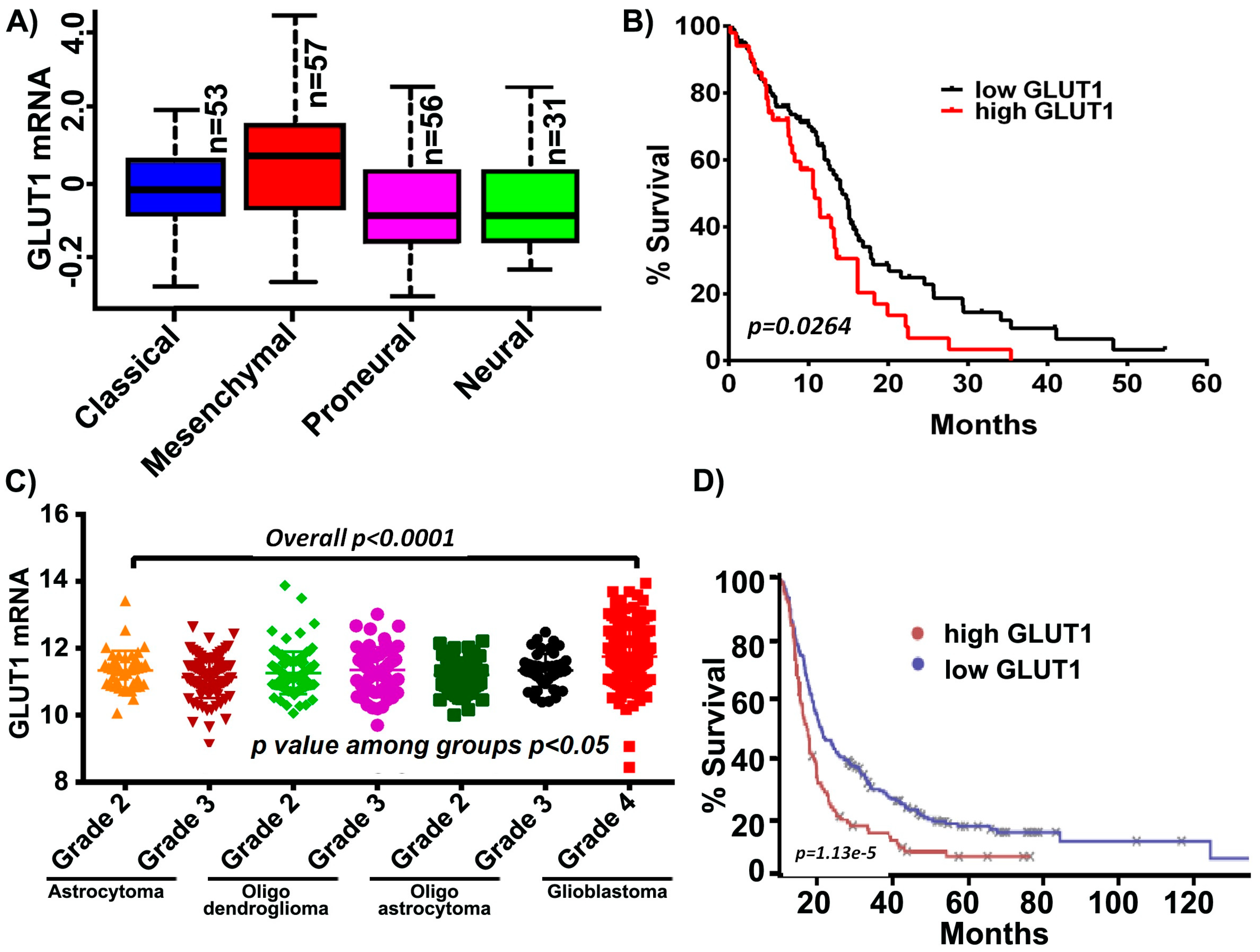 Cancers 11 01308 g001 Cancers 11 01308 g001