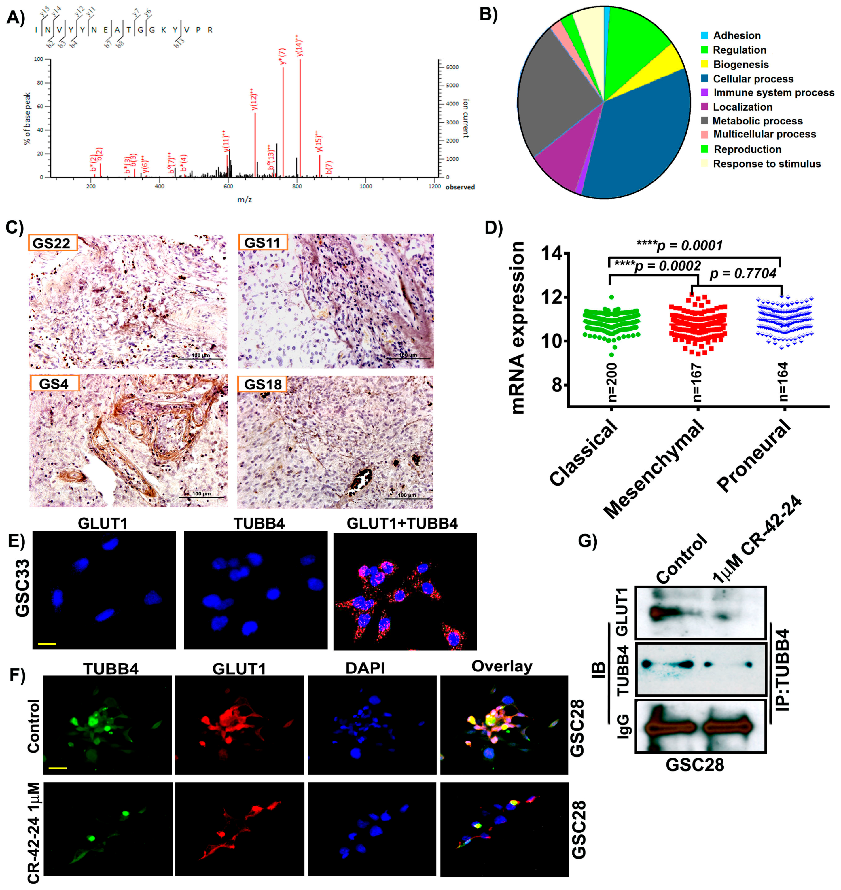 Cancers 11 01308 g003 Cancers 11 01308 g003
